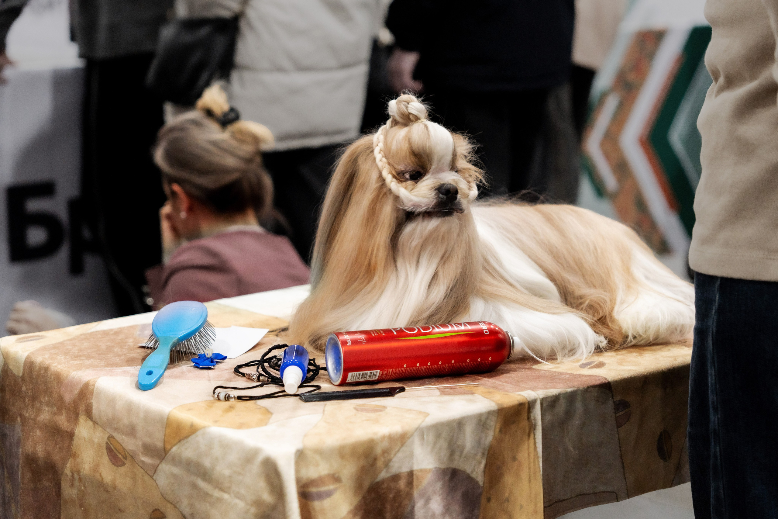 Животные. Фото, видео, монтаж