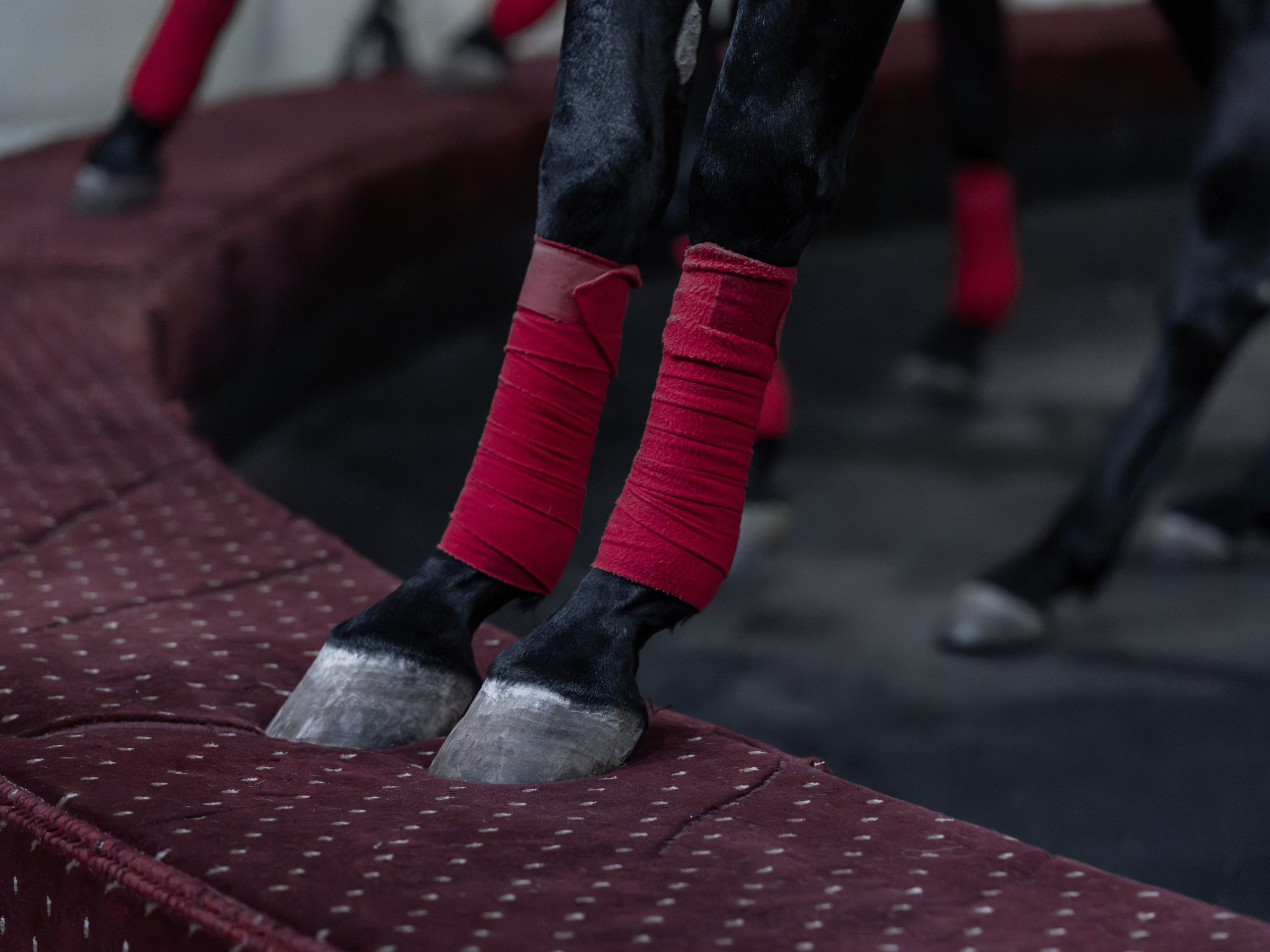 Конный театр «Нарты». Репортажный фотограф в Красной Поляне и Сочи Павлюченко Екатерина