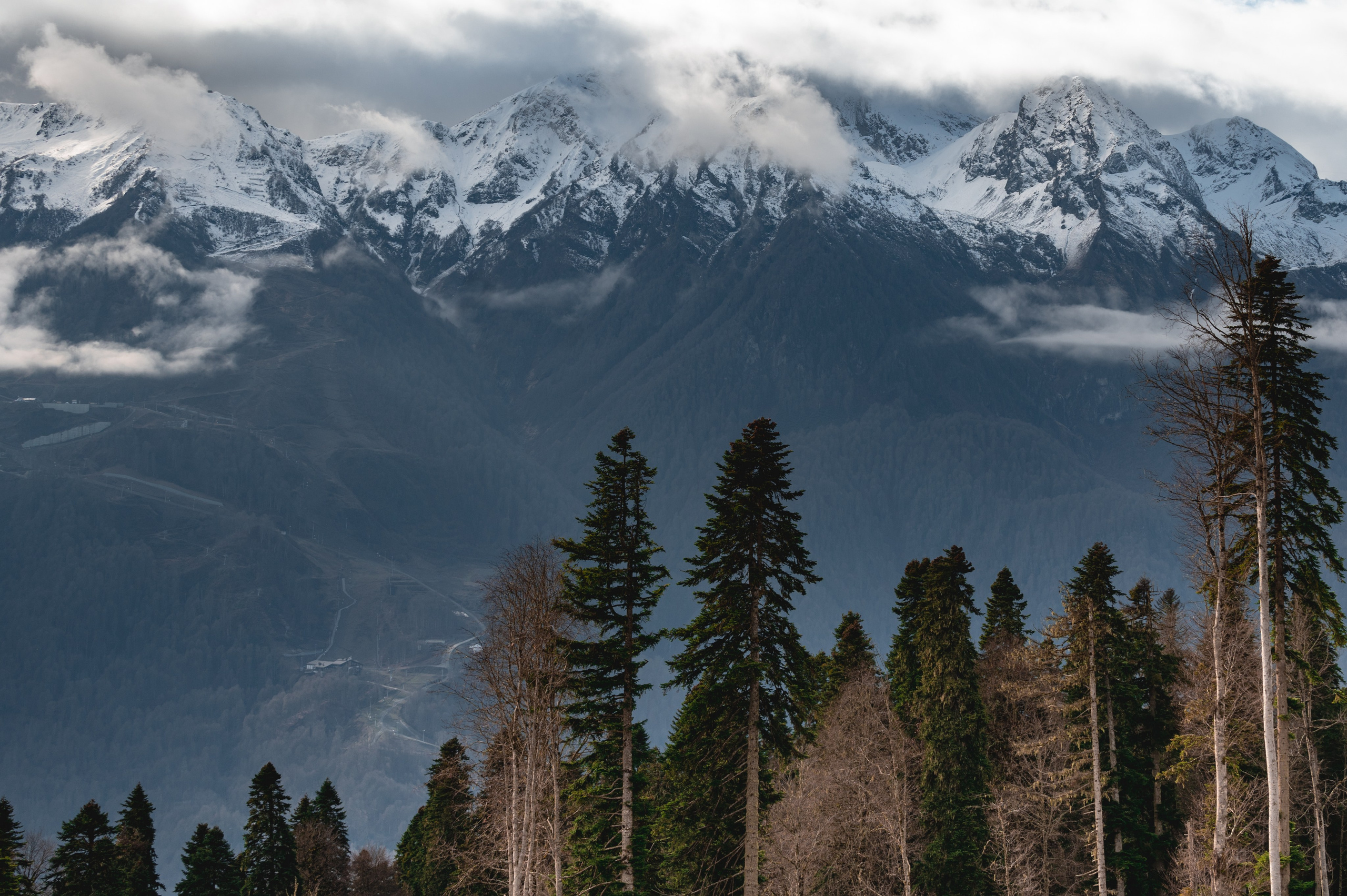 Путешествия и пейзаж. Репортажный фотограф в Красной Поляне и Сочи Павлюченко Екатерина