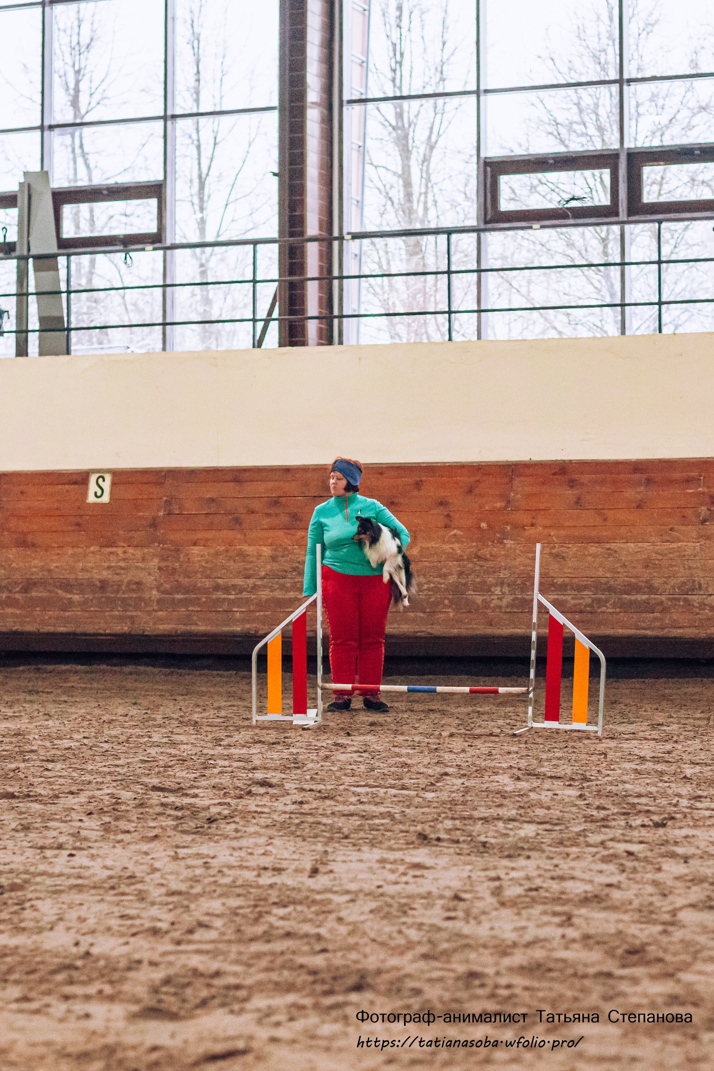 Соревнования по Аджилити 25.02.2024. Фотограф-анималист Татьяна Степанова