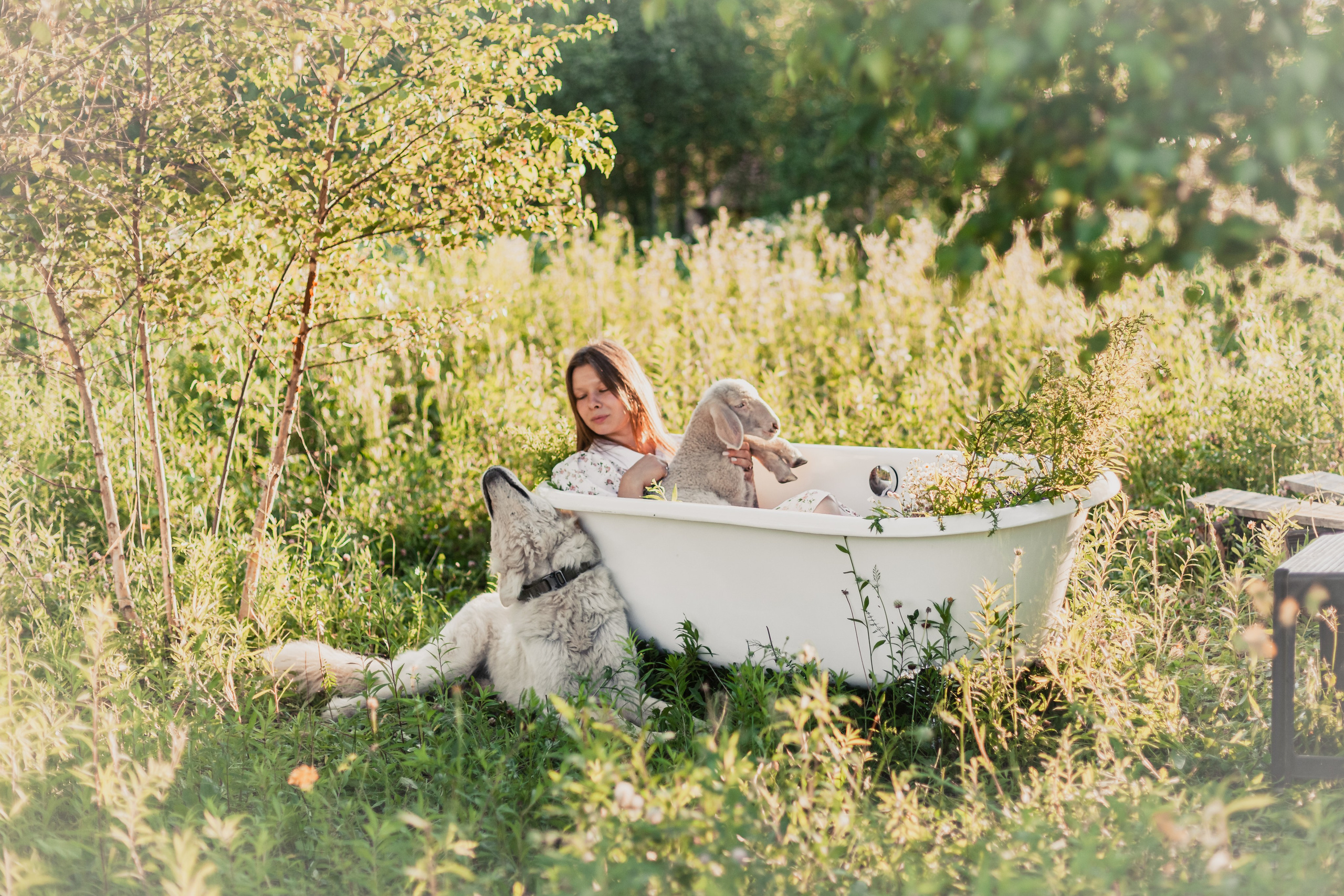 Ванна в поле. Фотограф-анималист Татьяна Степанова