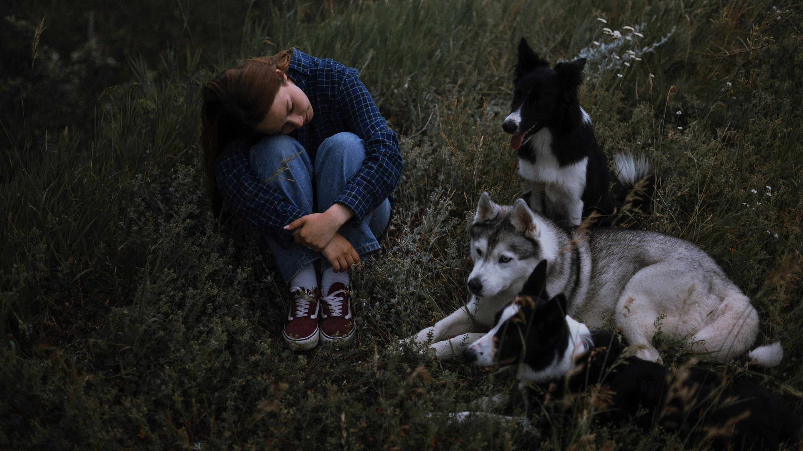 Аделя, Вандер, Шайна и Бая. Фотограф-анималист Богданова Полина