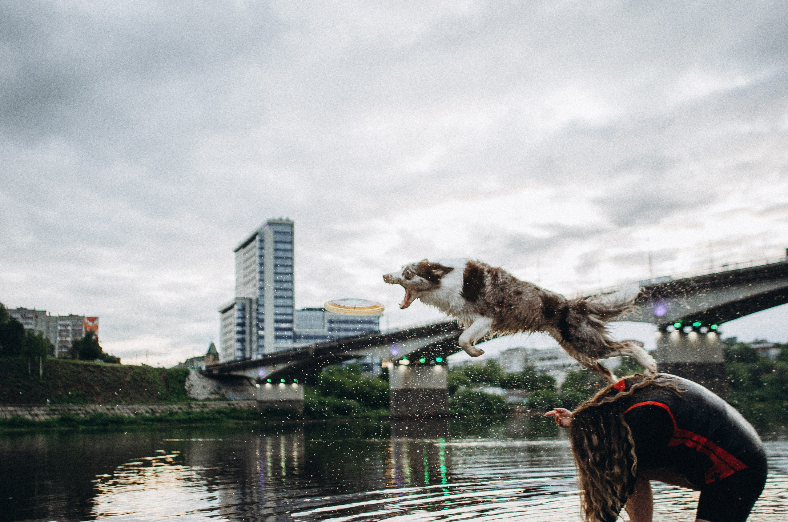 Алина и Бруна. Фотограф-анималист Богданова Полина