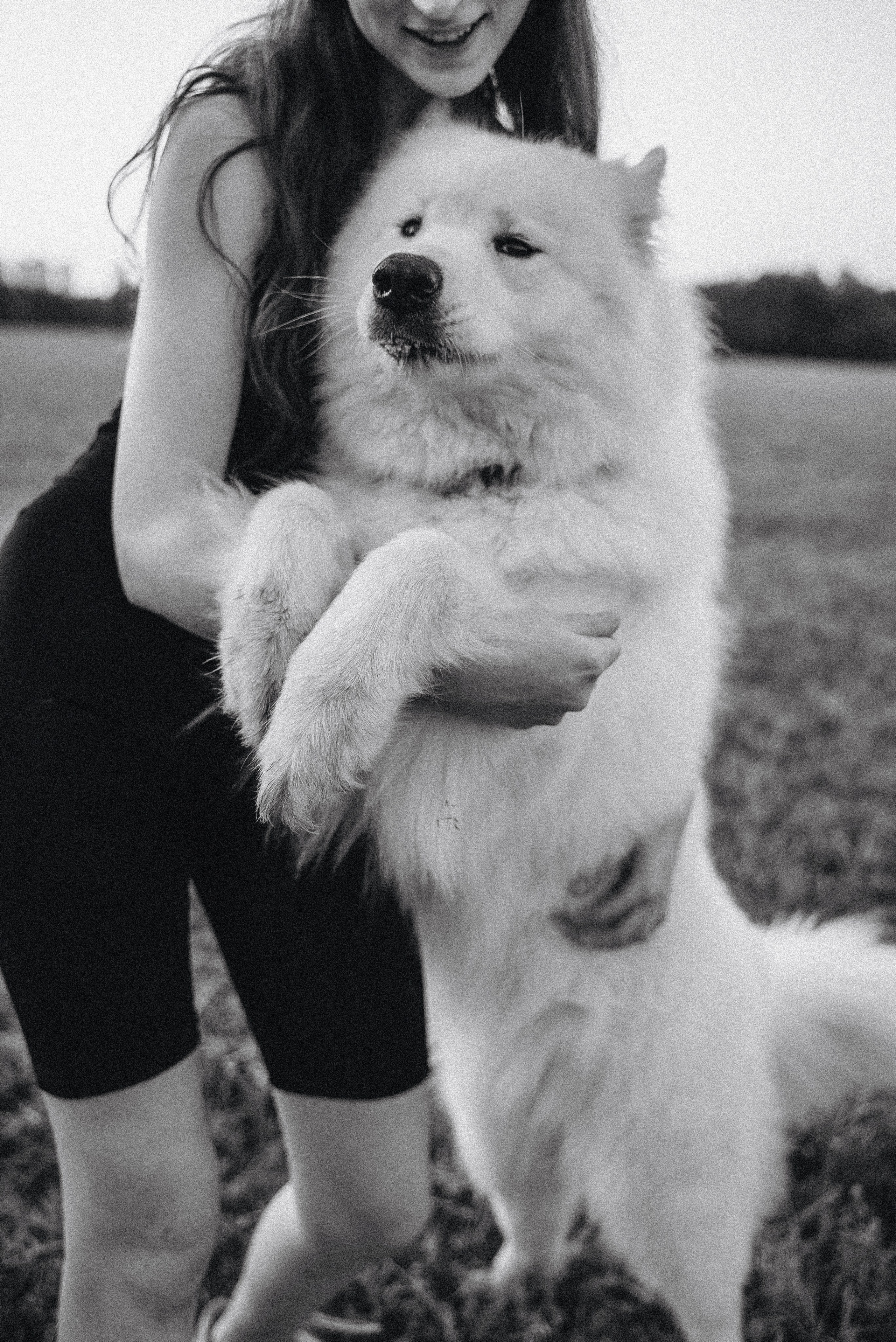 Алёна и Челси. Фотограф-анималист Богданова Полина