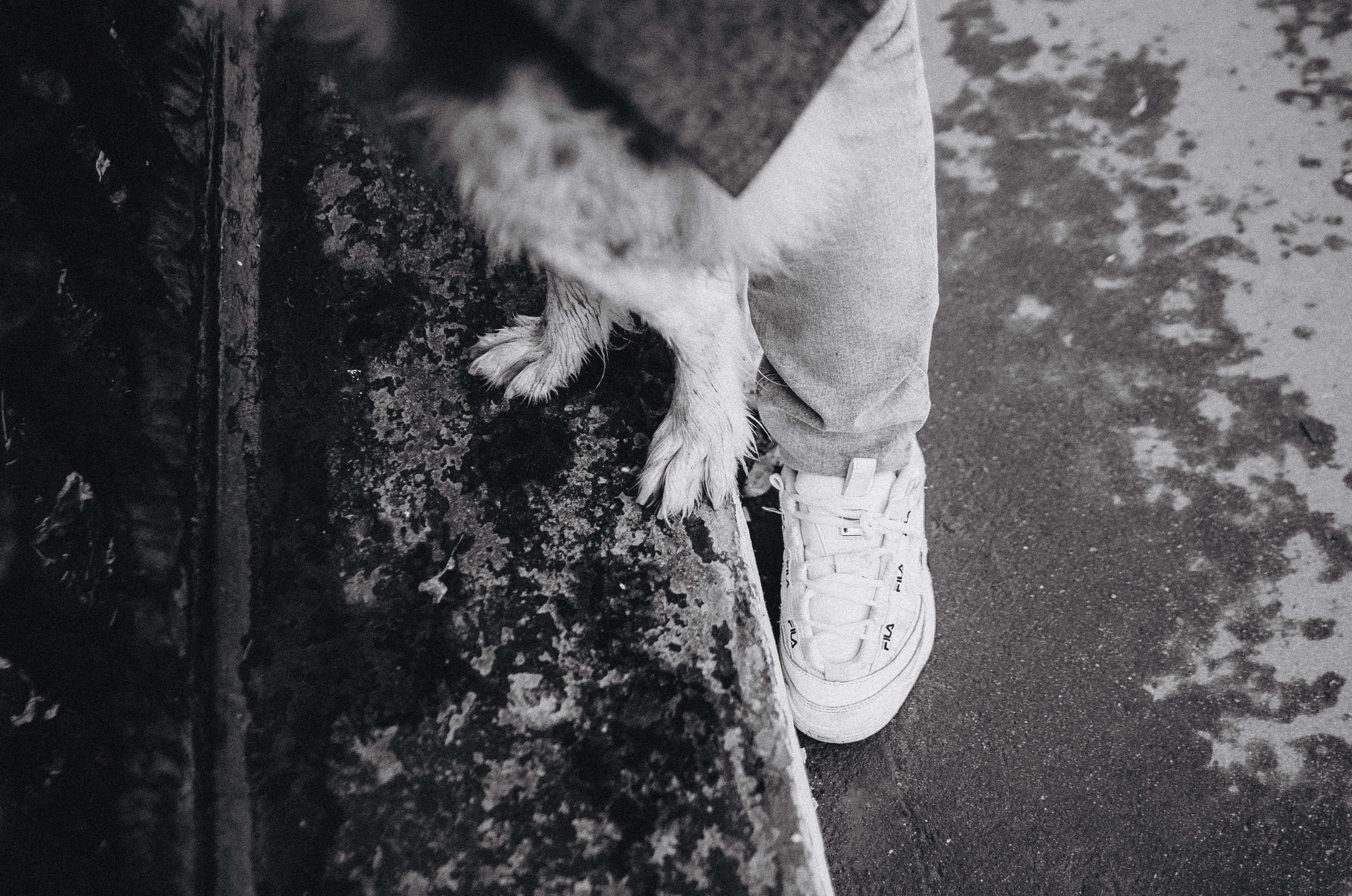 Алина и Бруна. Фотограф-анималист Богданова Полина