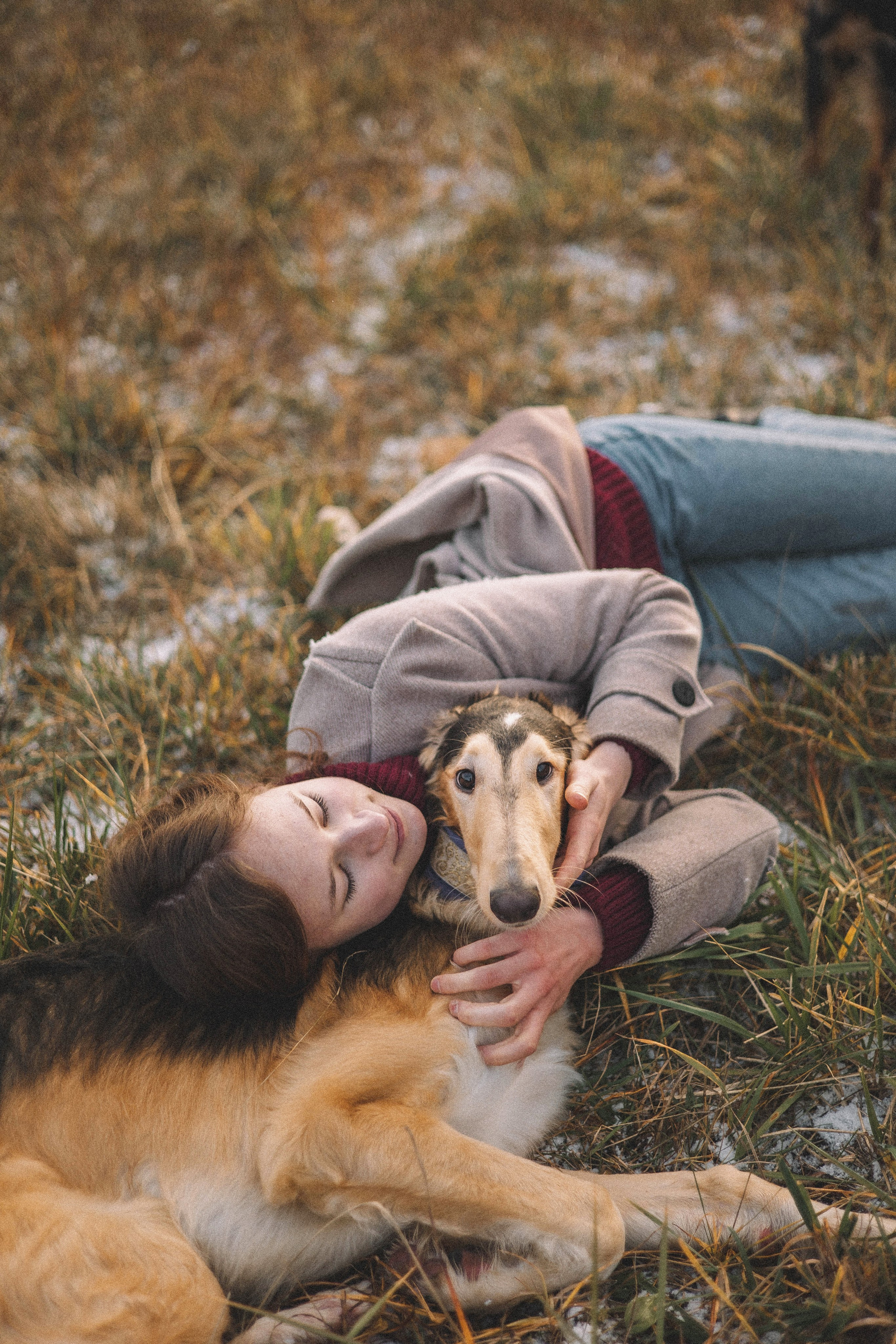 Алена, Леви и Микаса. Фотограф-анималист Богданова Полина