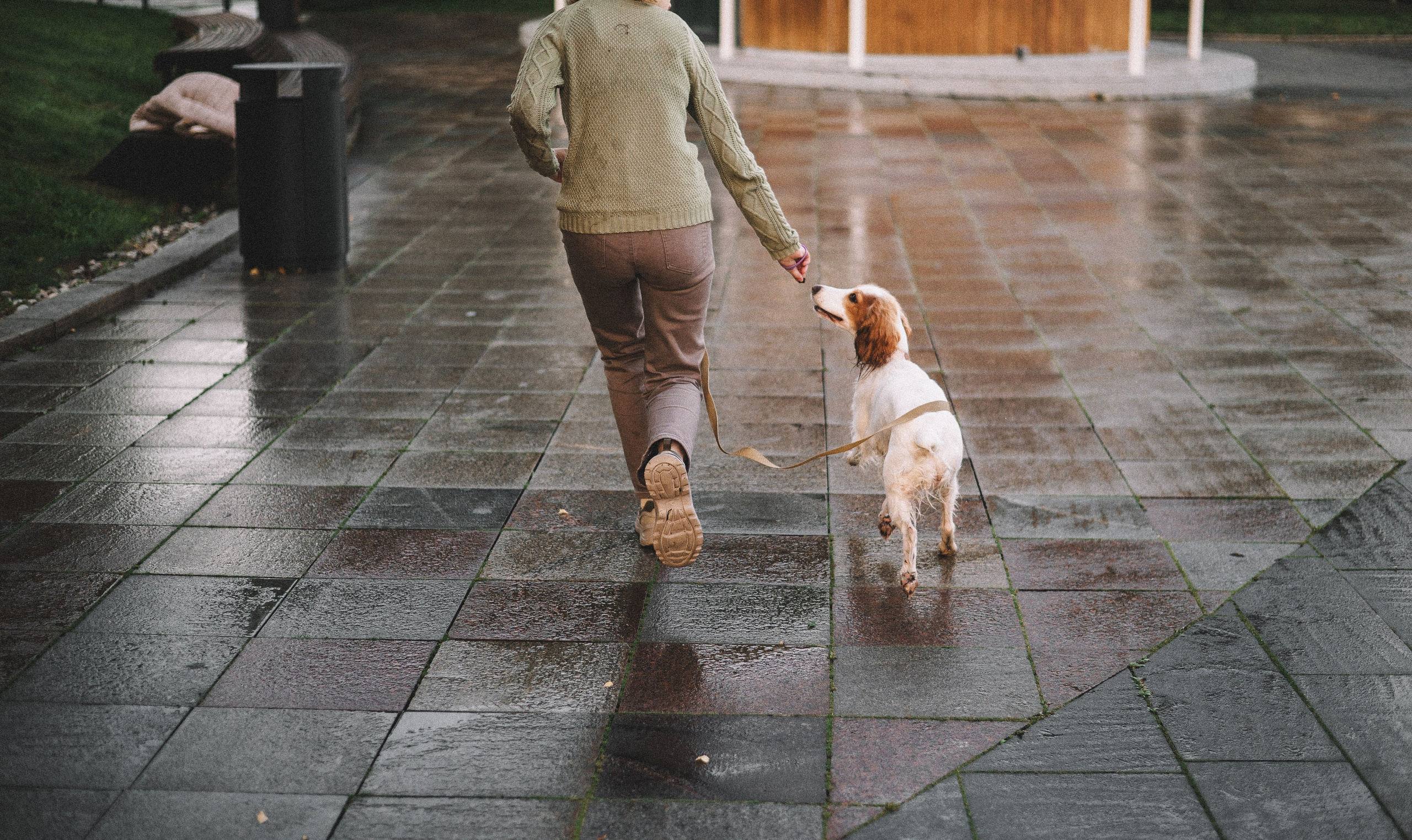 Маша и Вега. Фотограф-анималист Богданова Полина