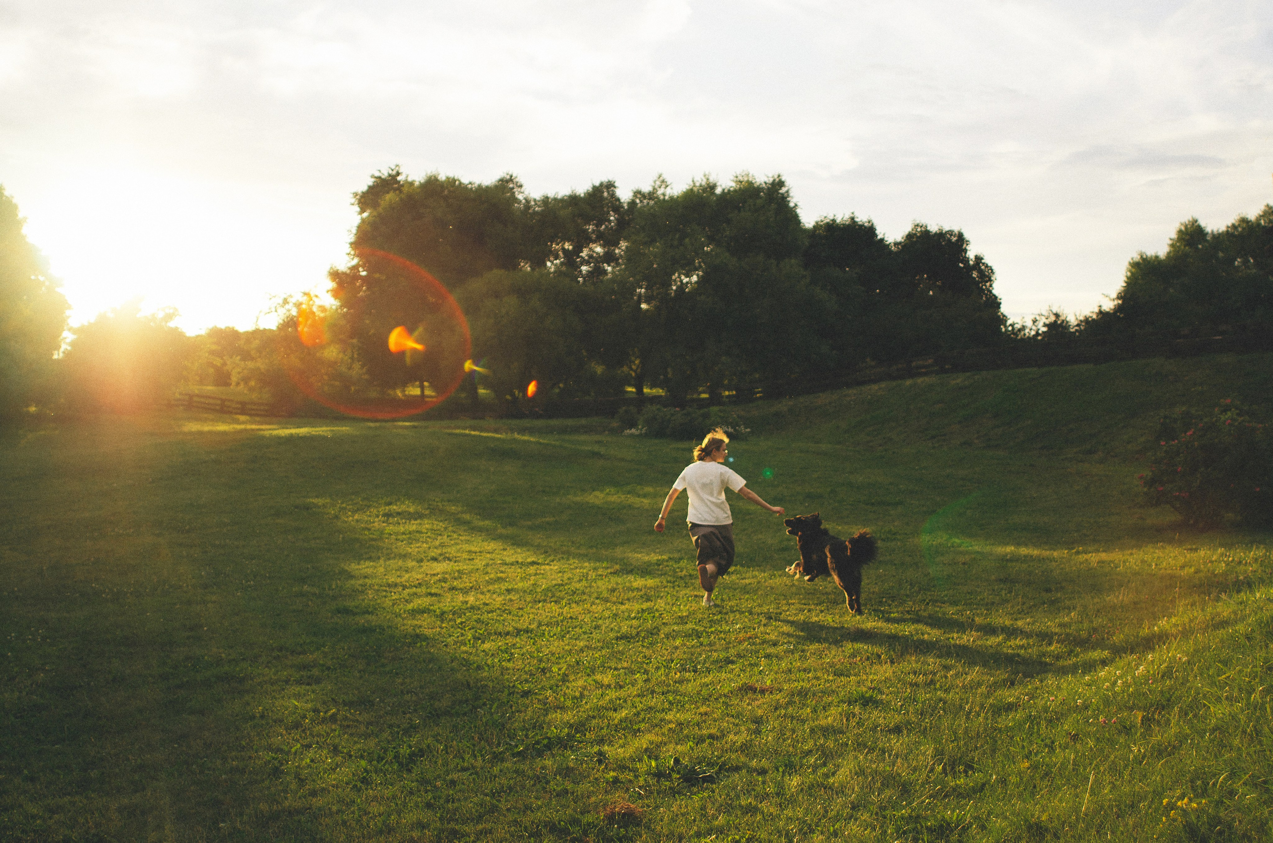 Анна и Марко. Фотограф-анималист Богданова Полина