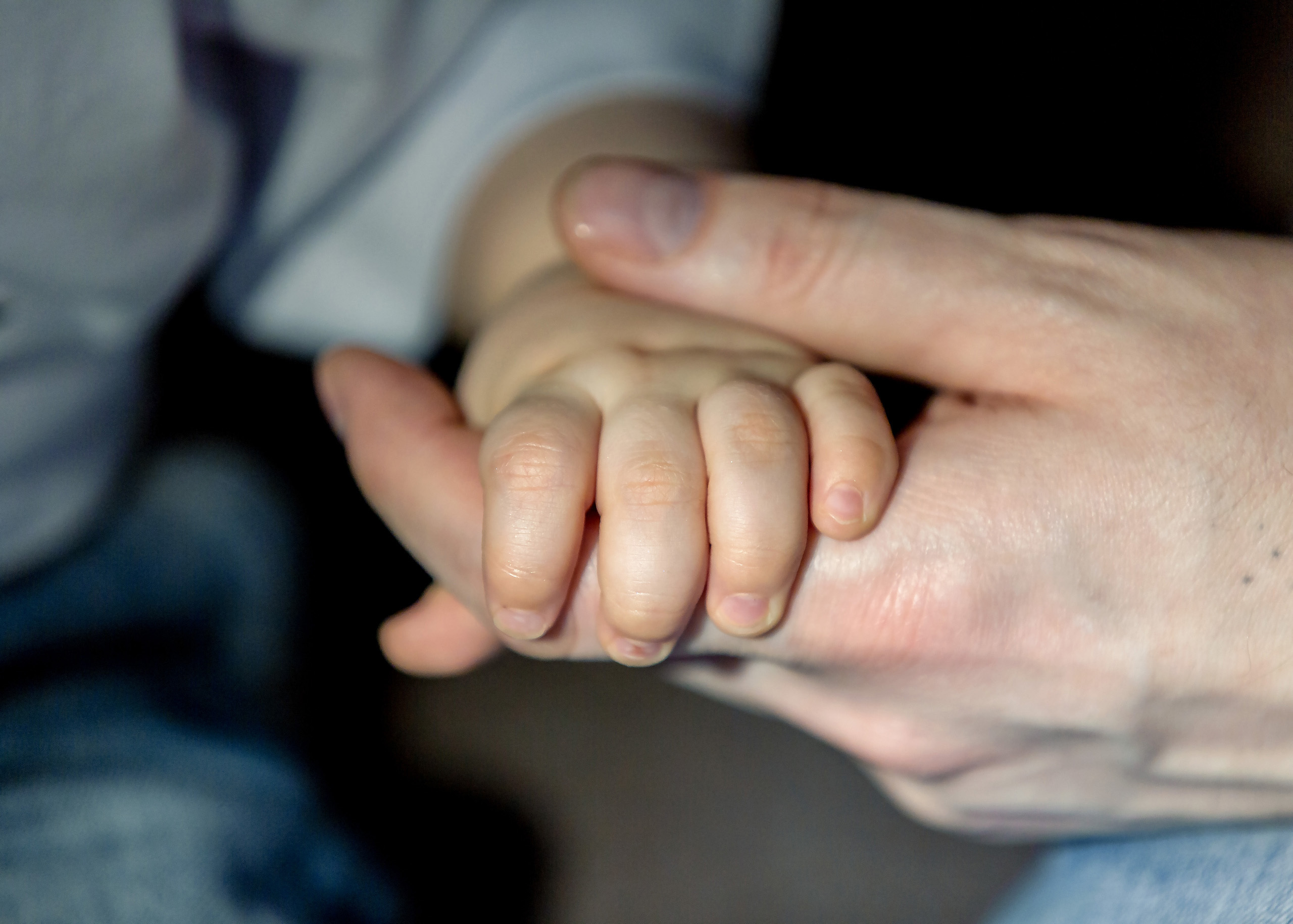 Семейная фотосессия в фотостудии. Свадебный фотограф в Барановичах Вячеслав Шах-Гусейнов, фотошкола