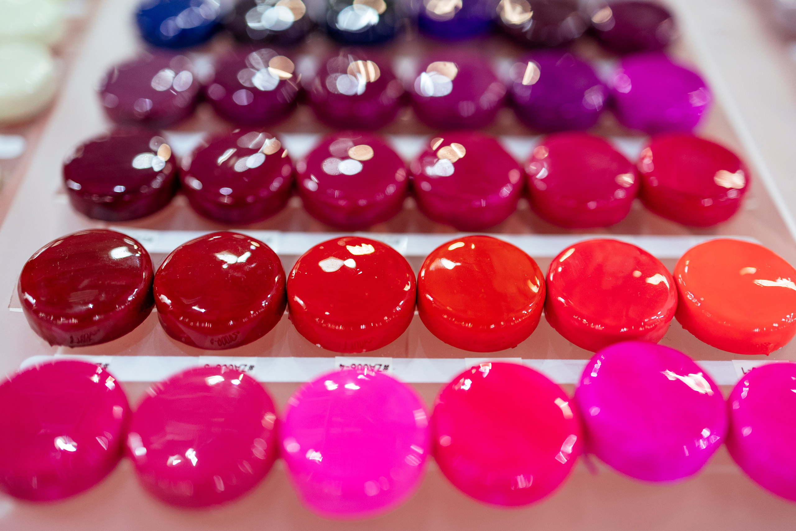 InterCHARM 2024. Фотограф Георгий Нигматулин