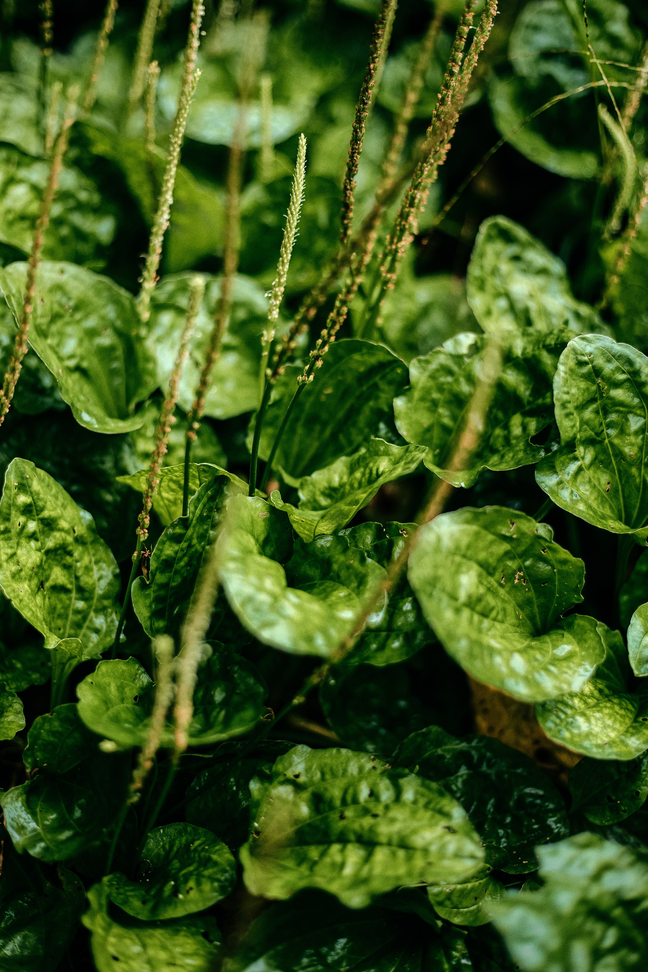Nature. Оля Валиахметова — портретный и репортажный фотограф из Екатеринбурга
