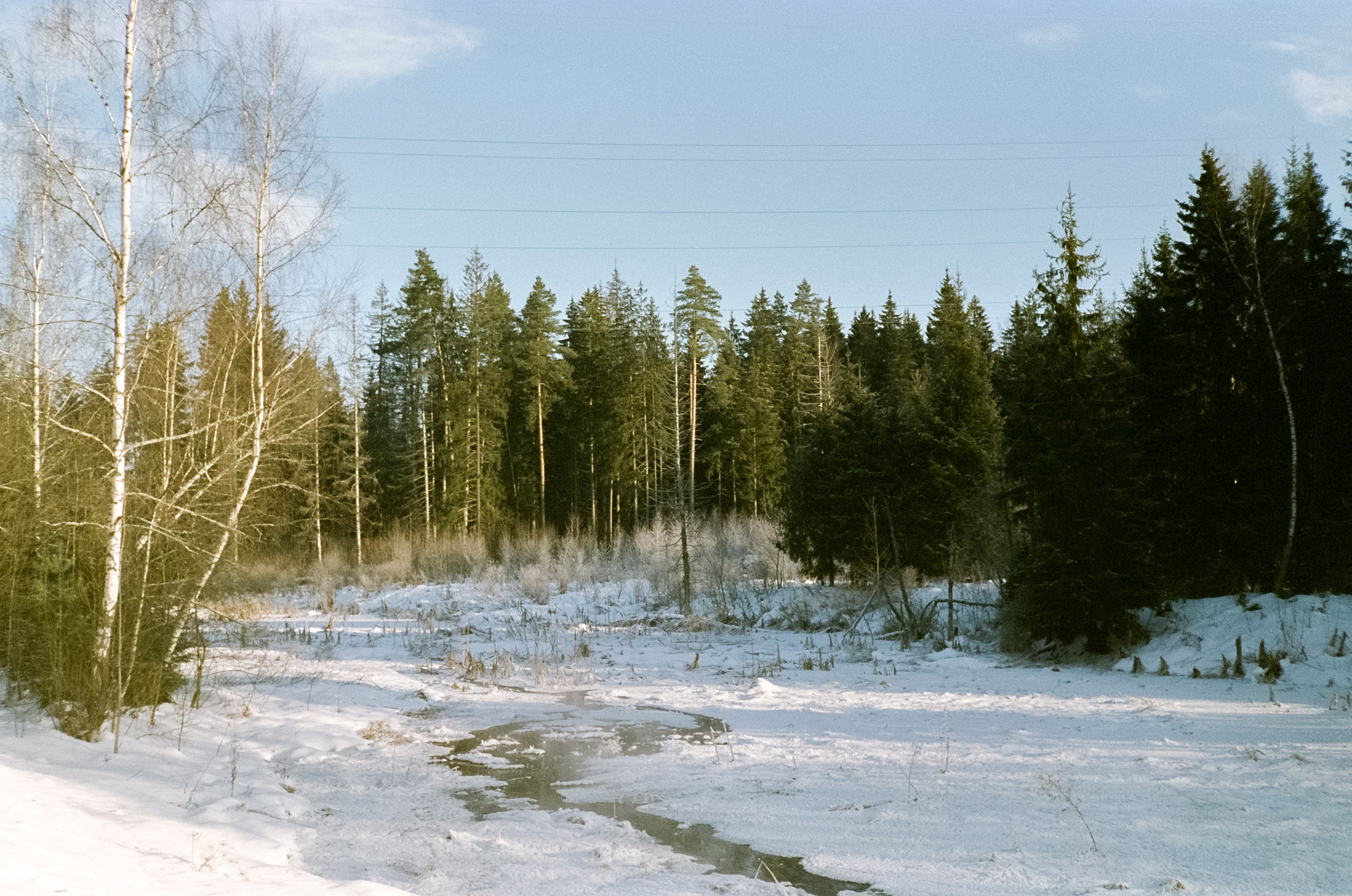 Chinon Auto 3001 (2) / Fuji Eterna 250D (ISO 100) / Давыдовское, Лукин