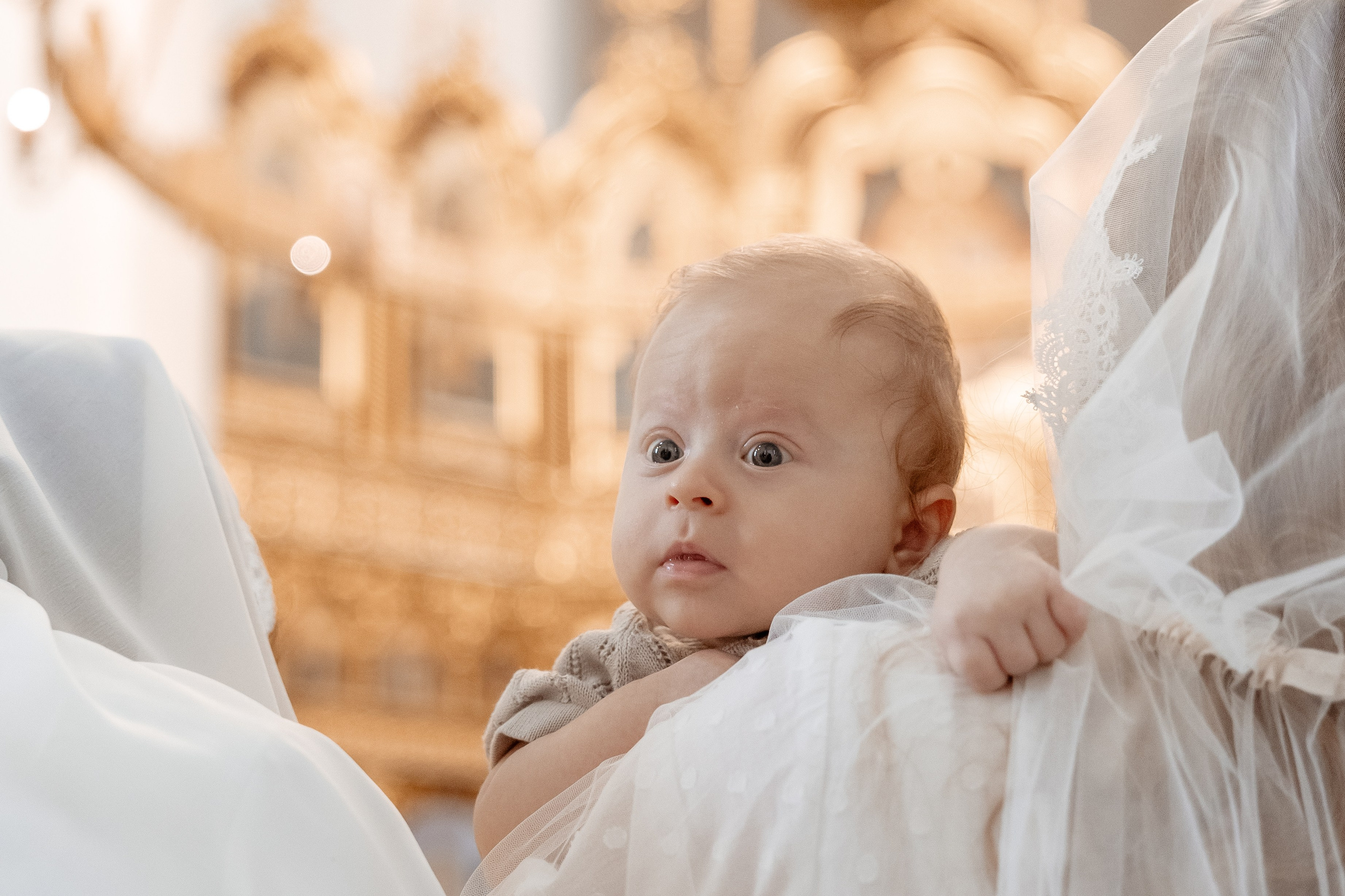 Услуги. Семейный фотограф в Марксе Светлана Шибаршина