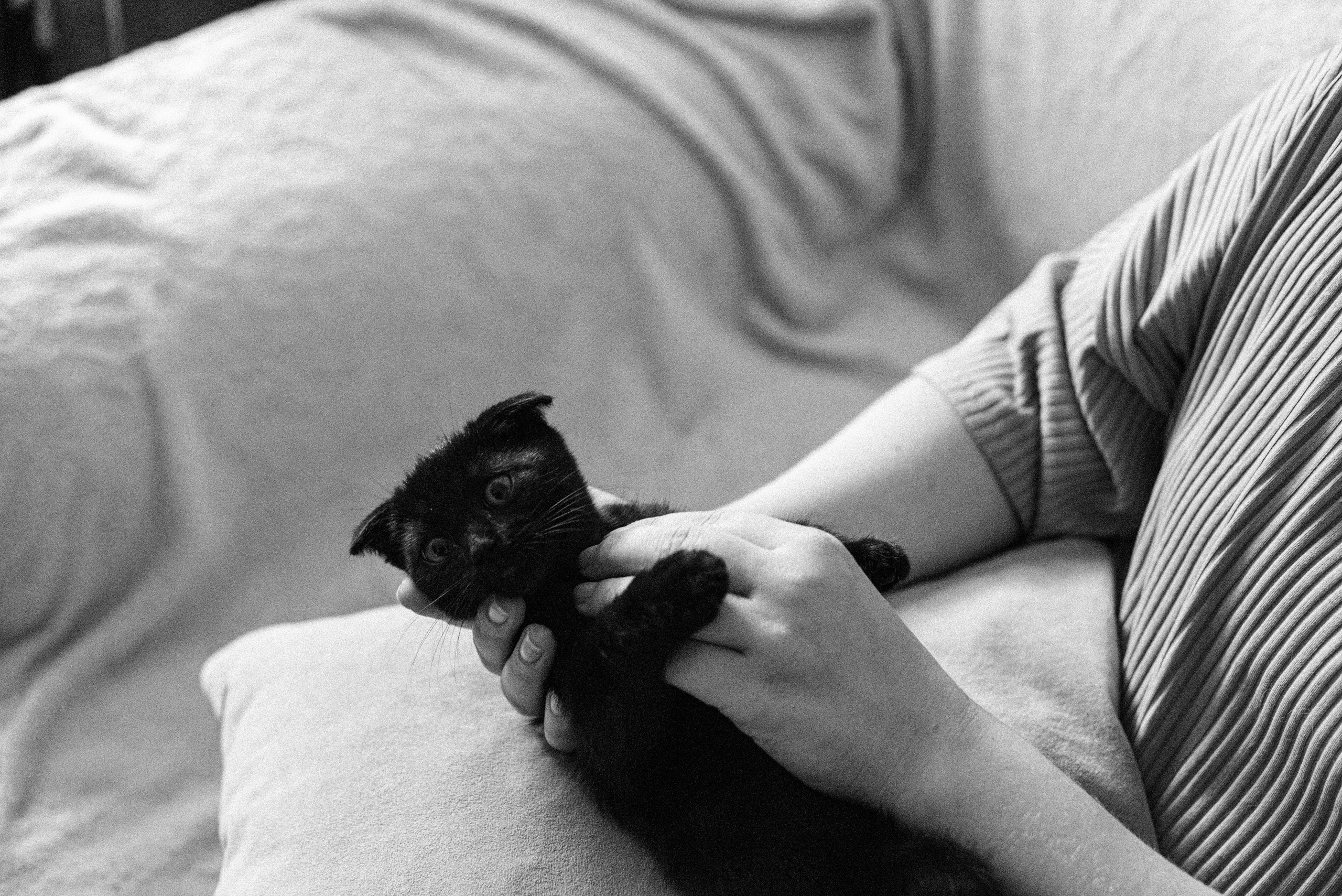 ХВОСТАТЫЕ. Дом обретенный. Детский и семейный фотограф выпускной альбом Приморско-Ахтарск