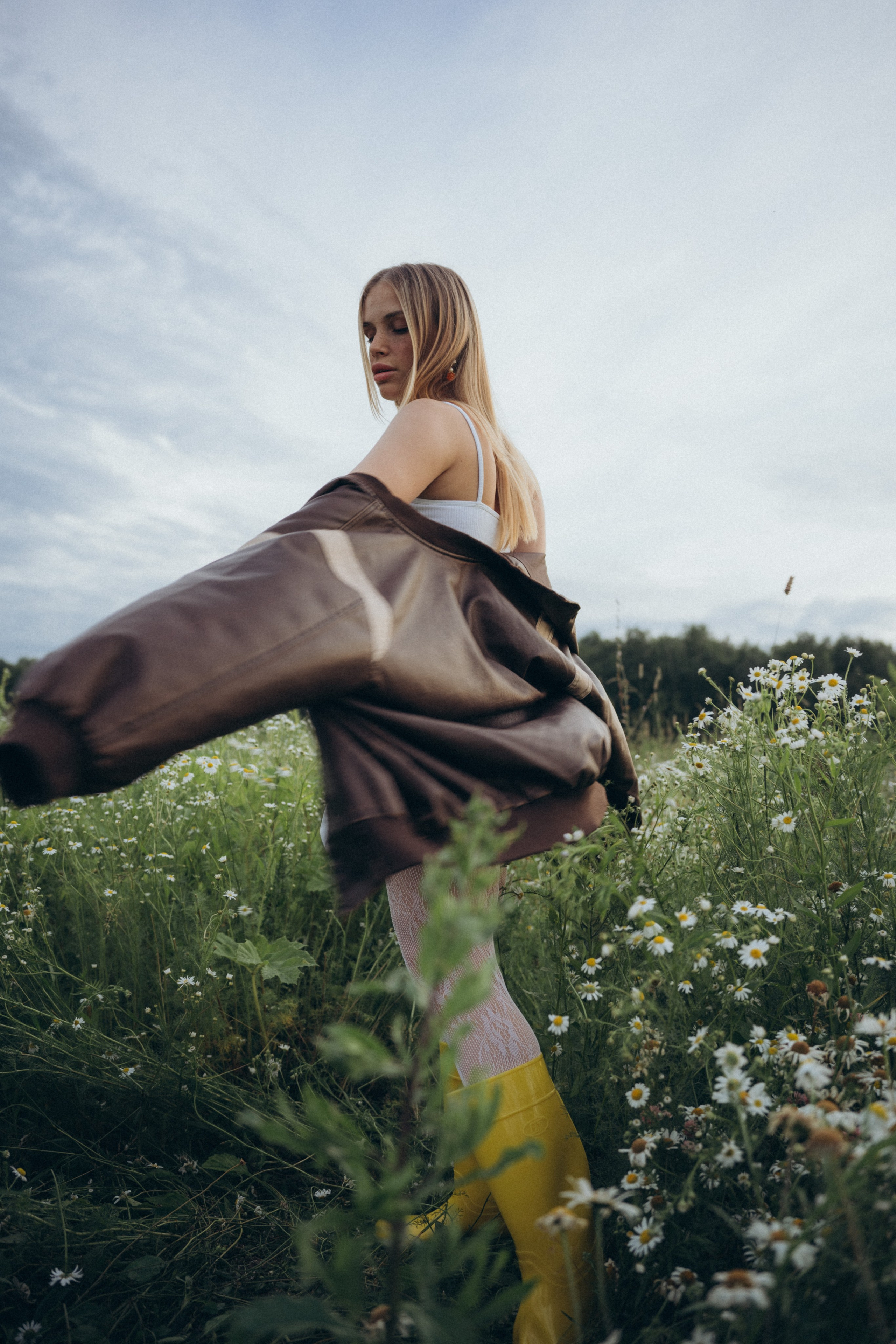 Ромашки. Фотограф Москва