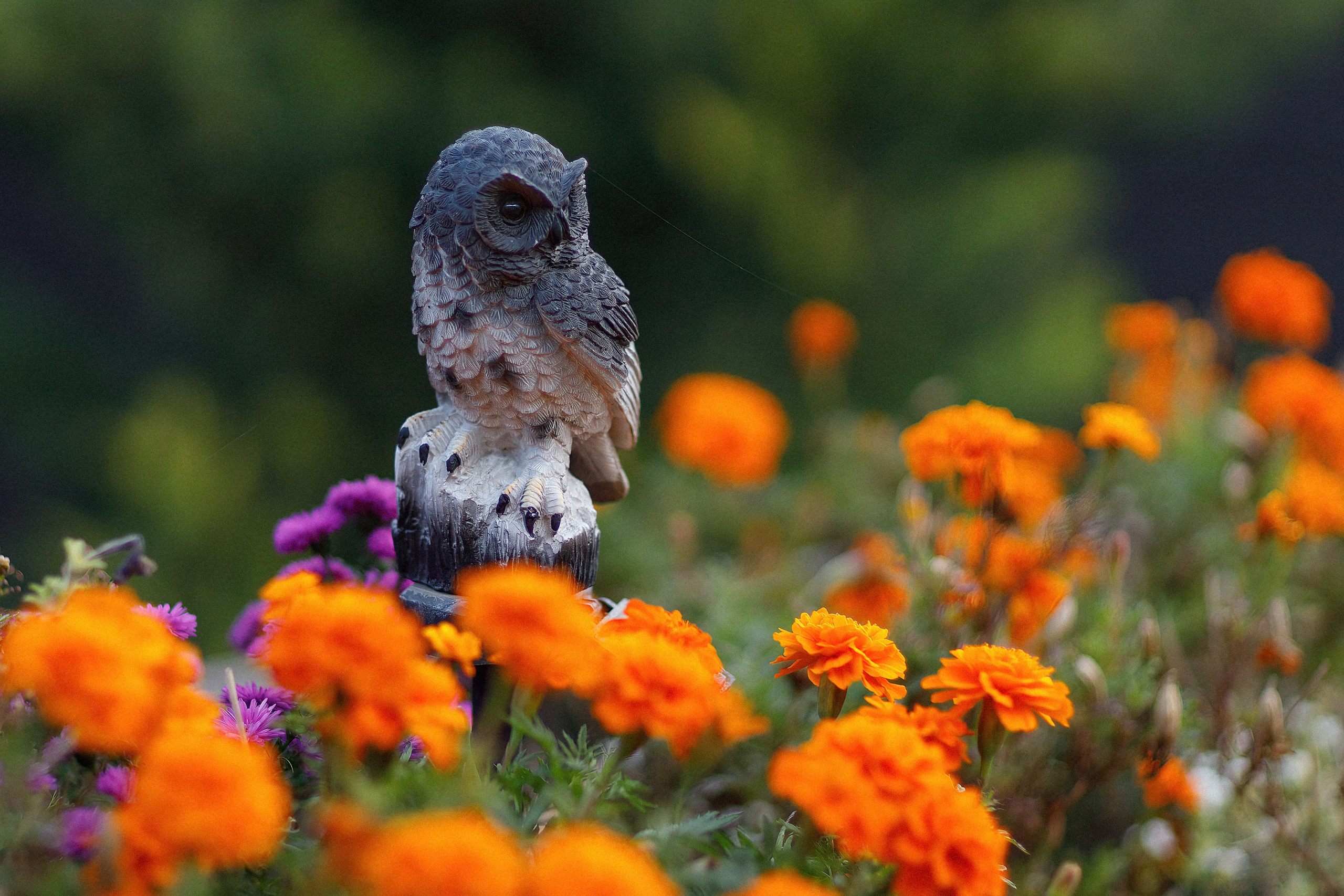 Проект «366»|2024|Фото каждый день. LENA GRACE photographer ||ЛЕНА ГРЭЙС фотограф