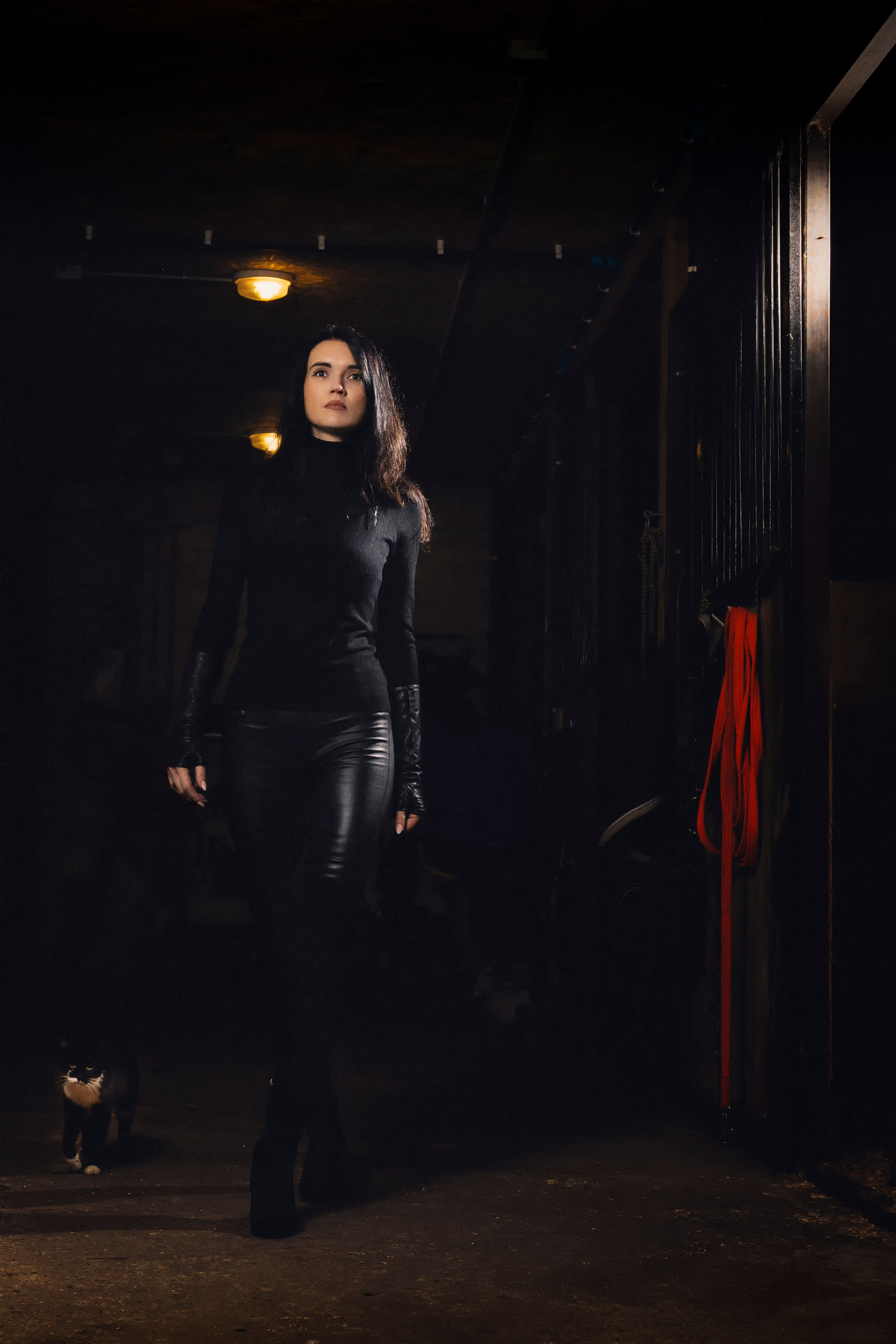 Татьяна, фотосессия с лошадьми в Туле. Фотограф в Туле — Борисов Николай