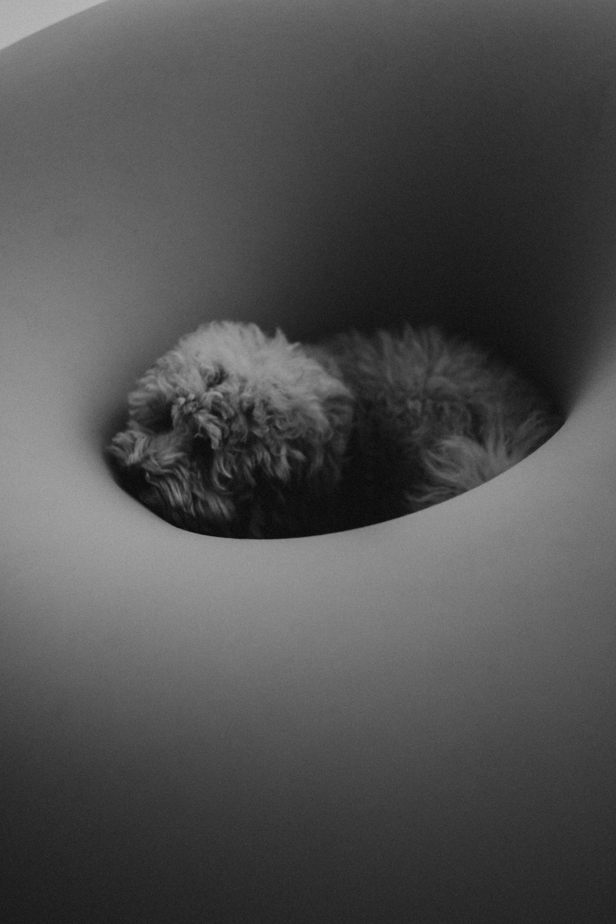 MAKSIM&TATIANA. MAX TIHANKOV