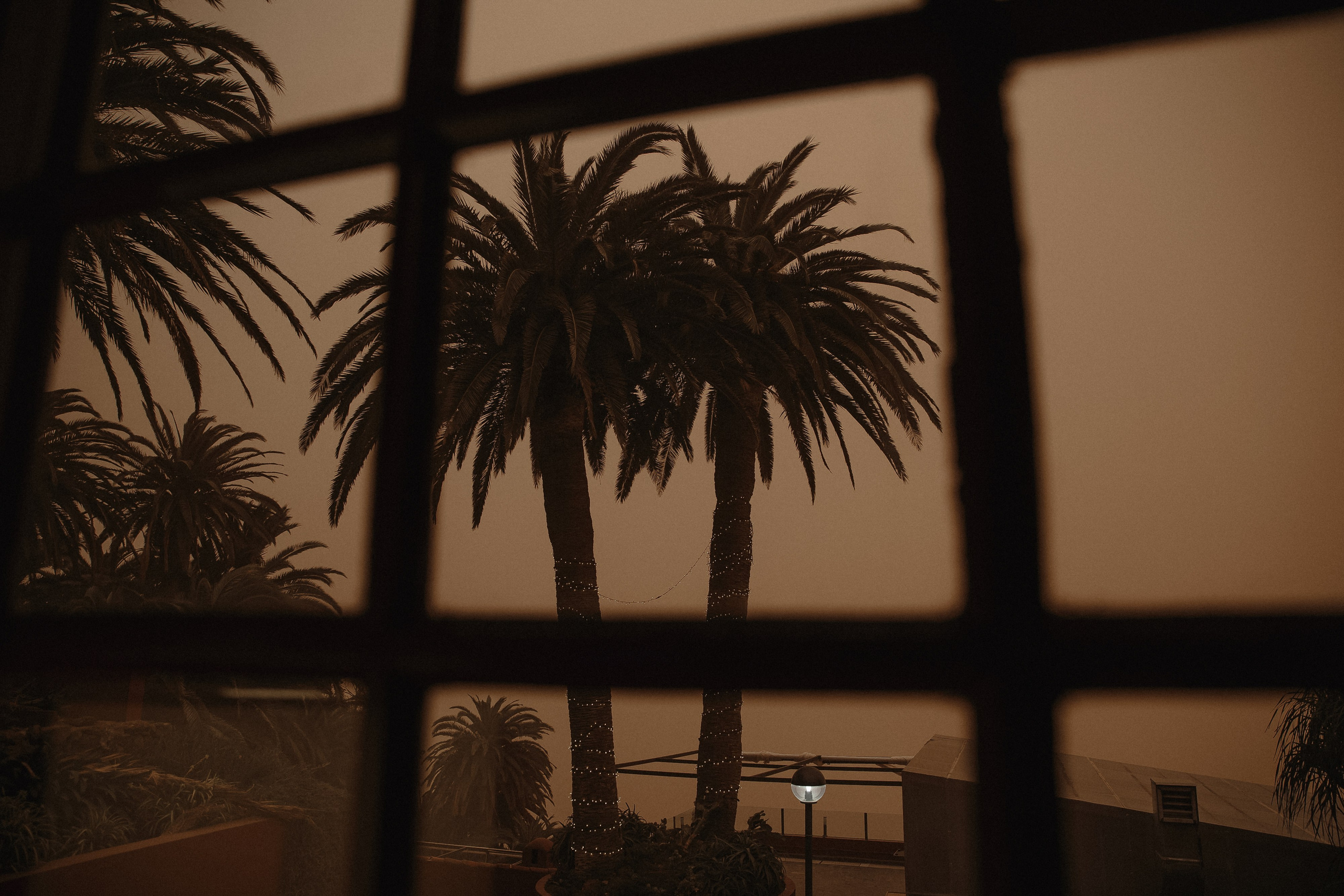 Wedding day Александр и Александра. Свадебный фотограф Колесников Антон