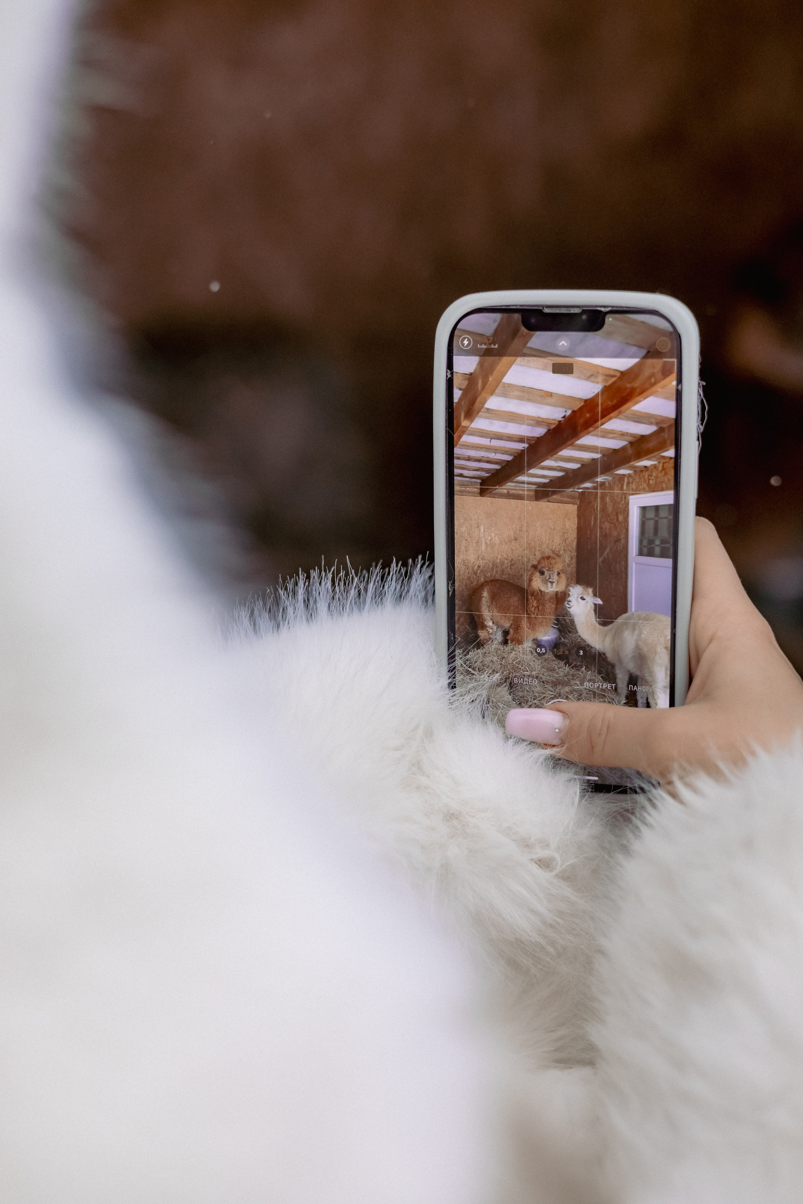 Алина. Детский и семейный фотограф Евгения Вахнеева Москва Зеленоград