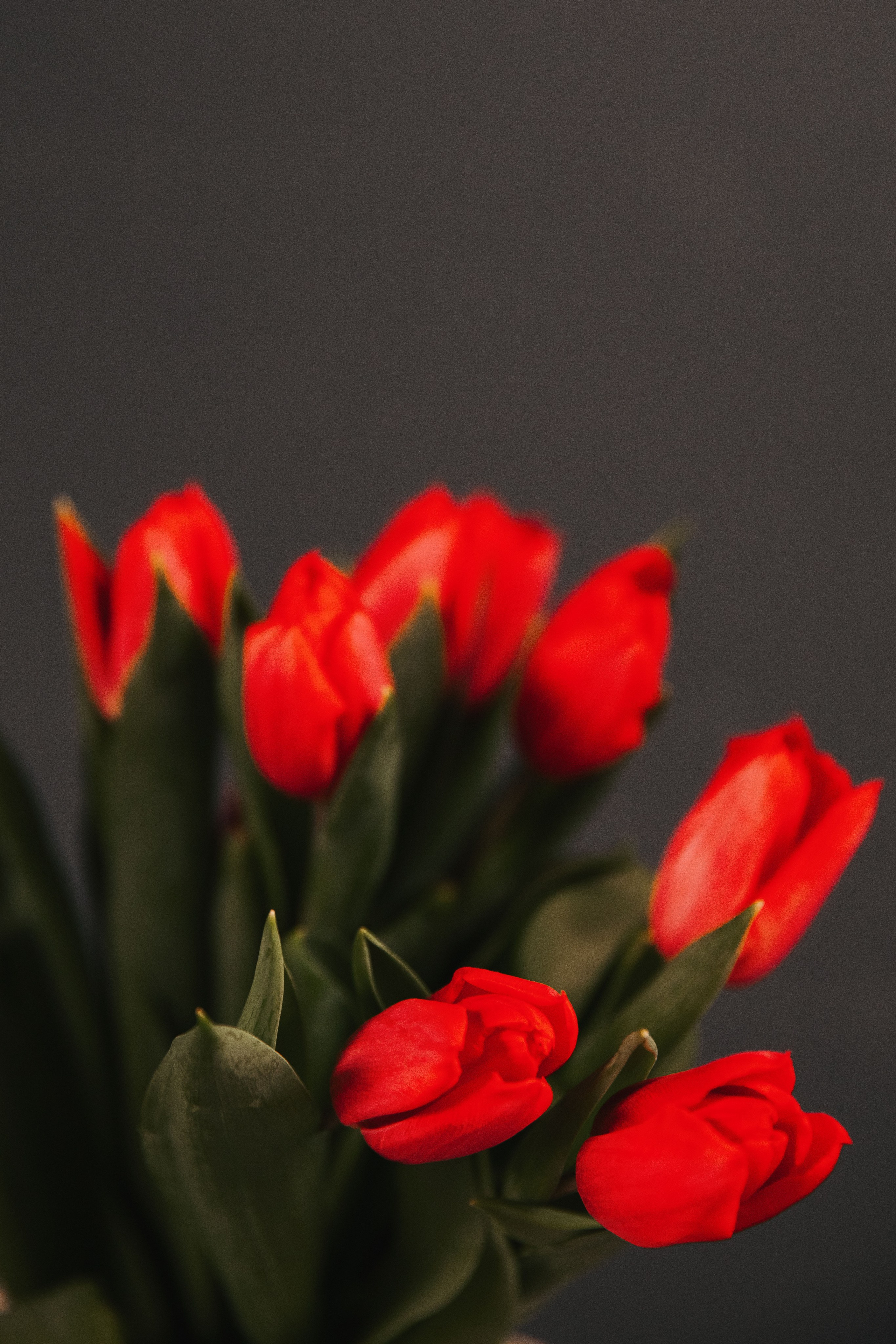 Айгюн. Фотограф в Москве Шаганова Нина