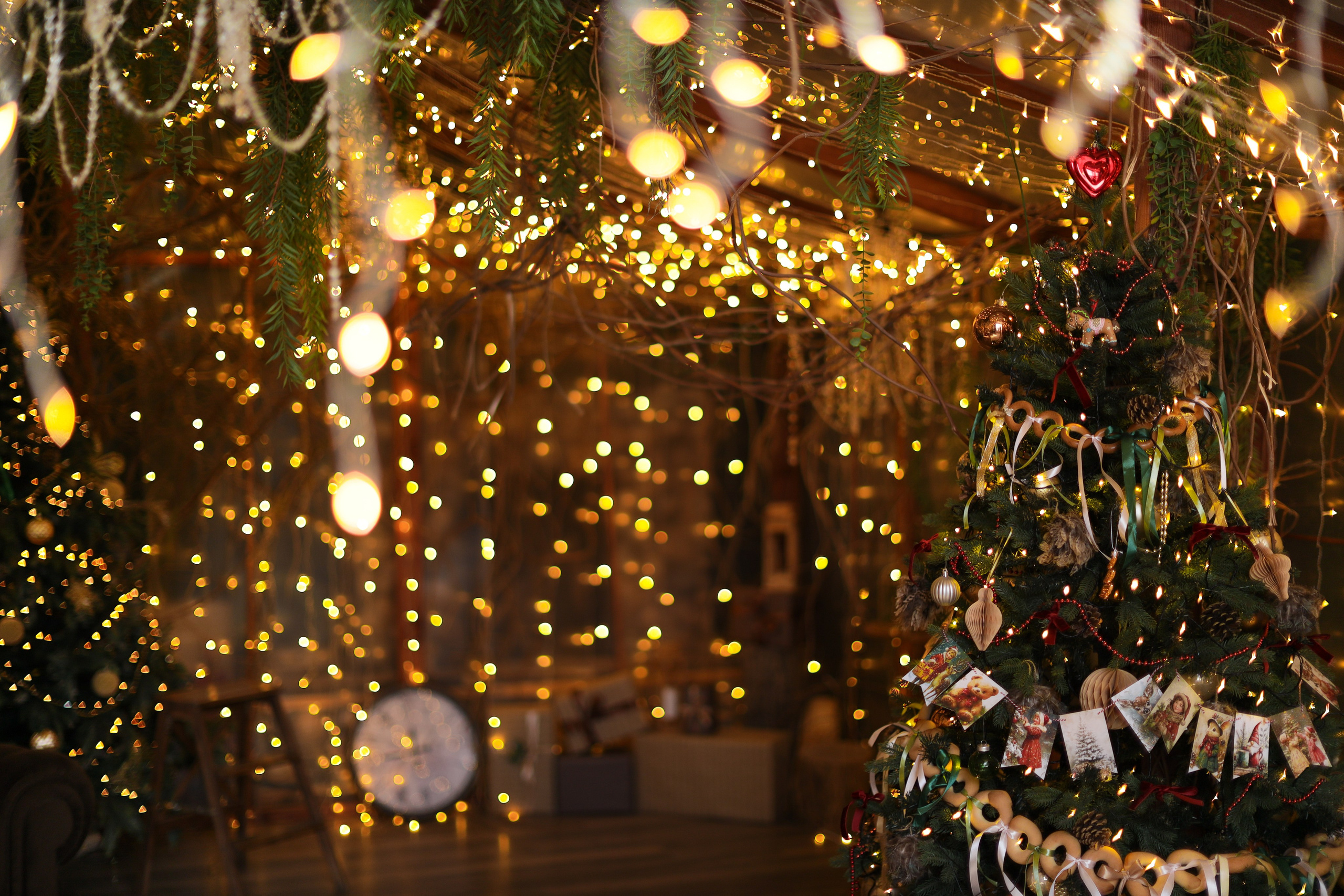 Фотостудия «Роял» зал Теплица. Свадебный фотограф в Ростове Александра Груздева