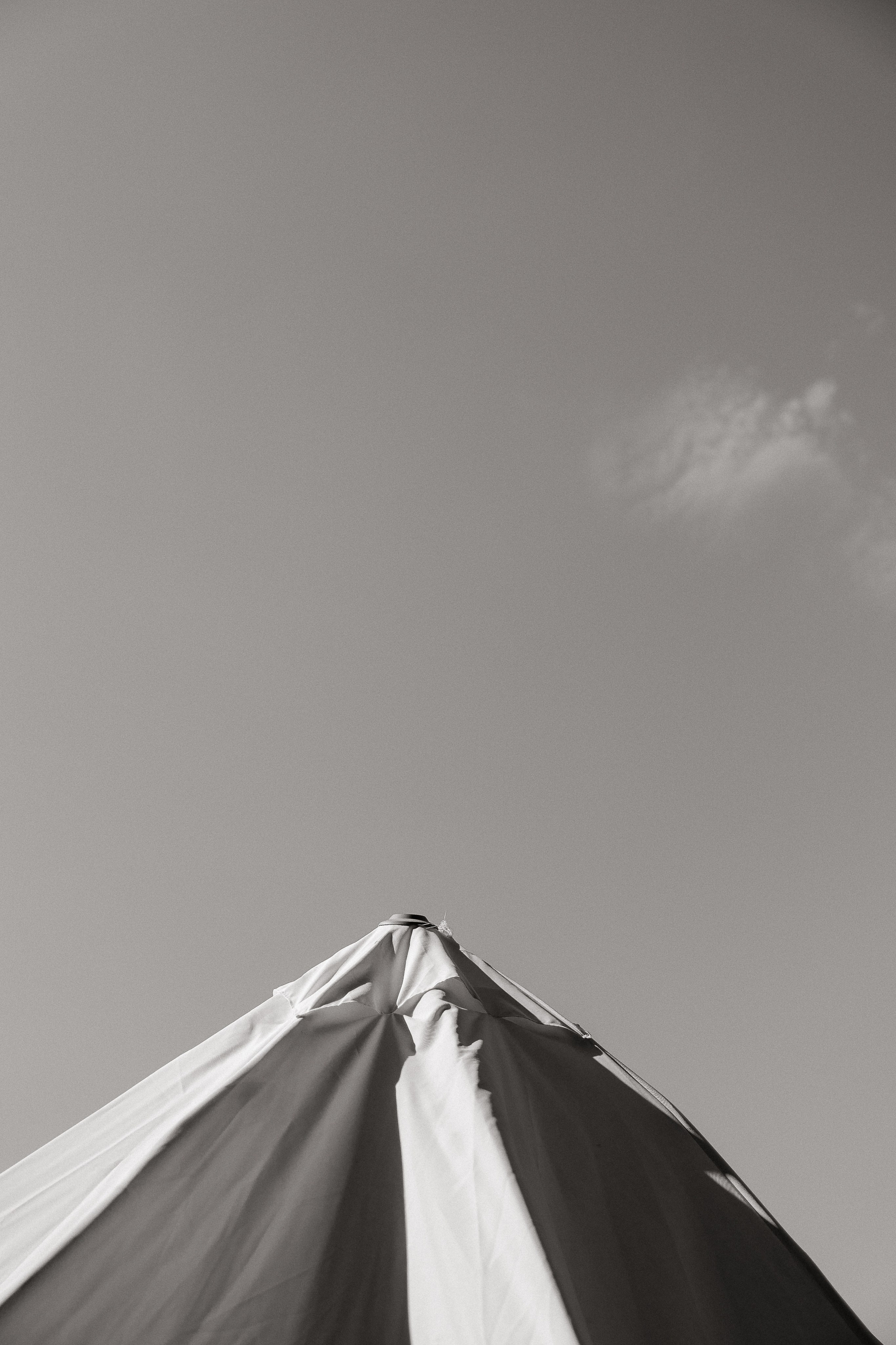 Представители любви. Свадебный | Семейный фотограф