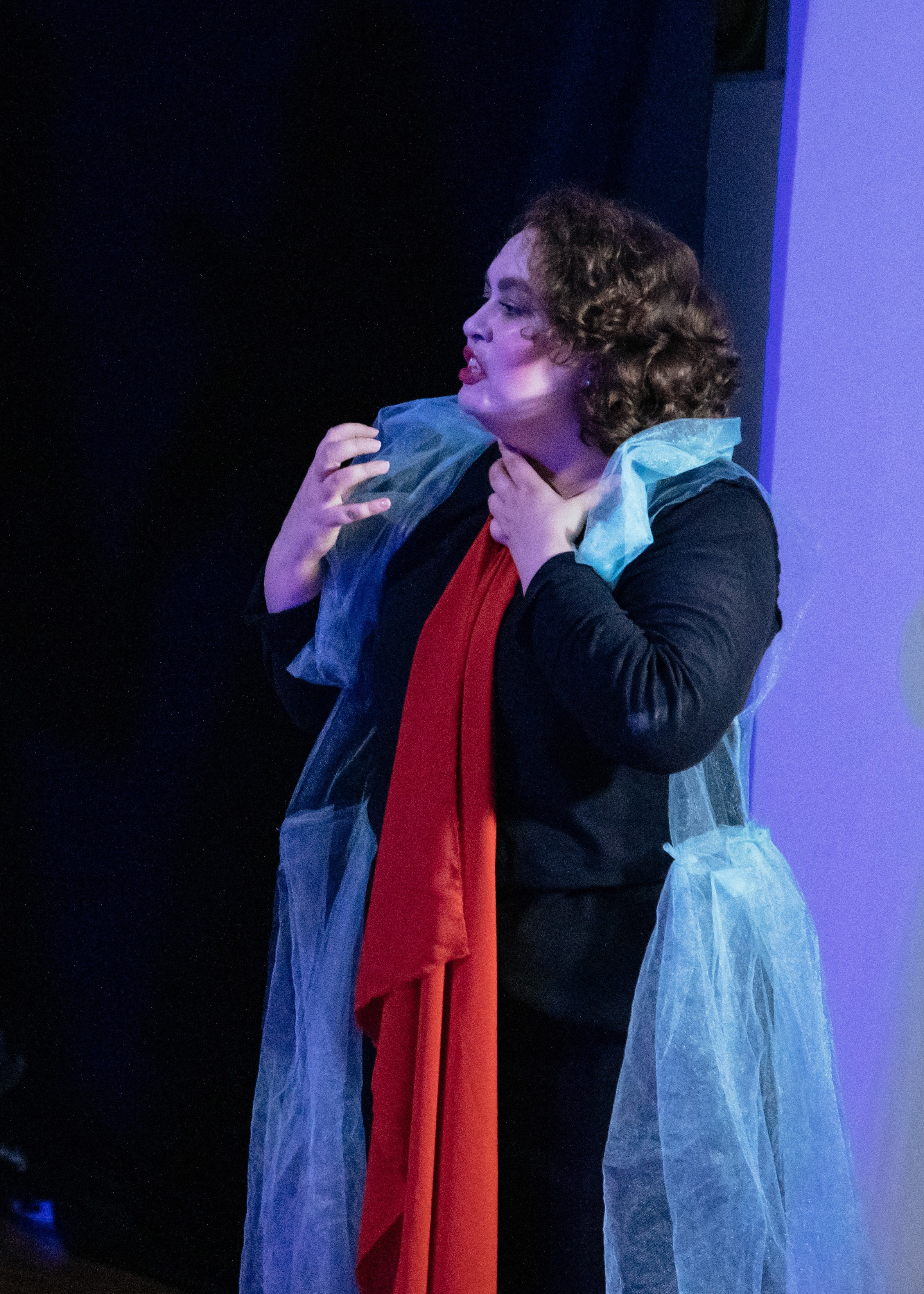 Shakespeare. Art-photographer Ira Wind