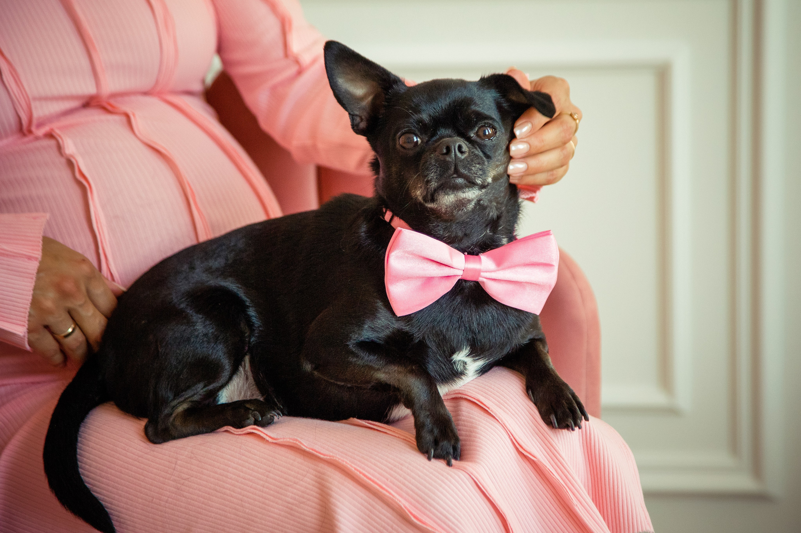 Фотосессия беременности в студии. X-Place студия в Москве. Свадебный и семейный фотограф в Москве и Подмосковье Лариса Козлова