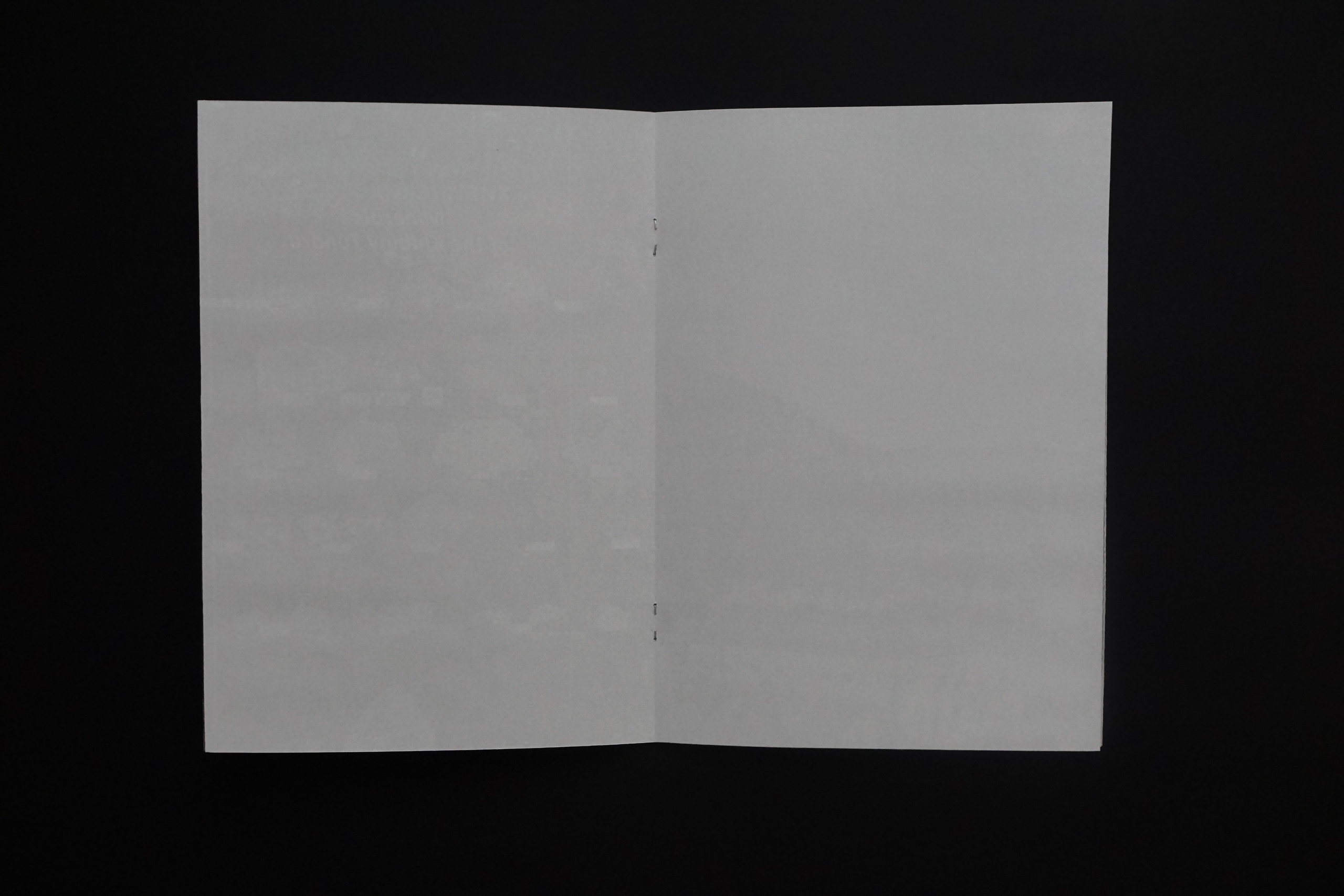 Overview. Anastasia Maryasova