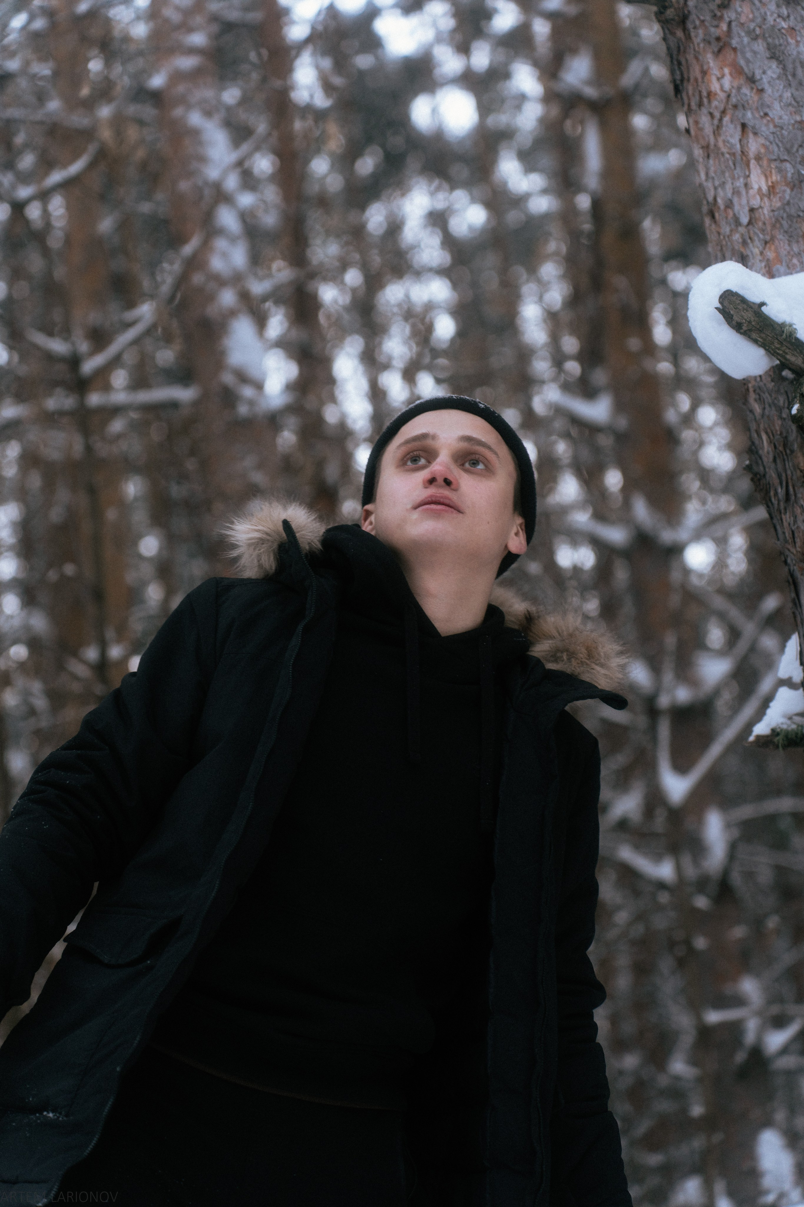Снежный лес. Фотограф Артем Ларионов