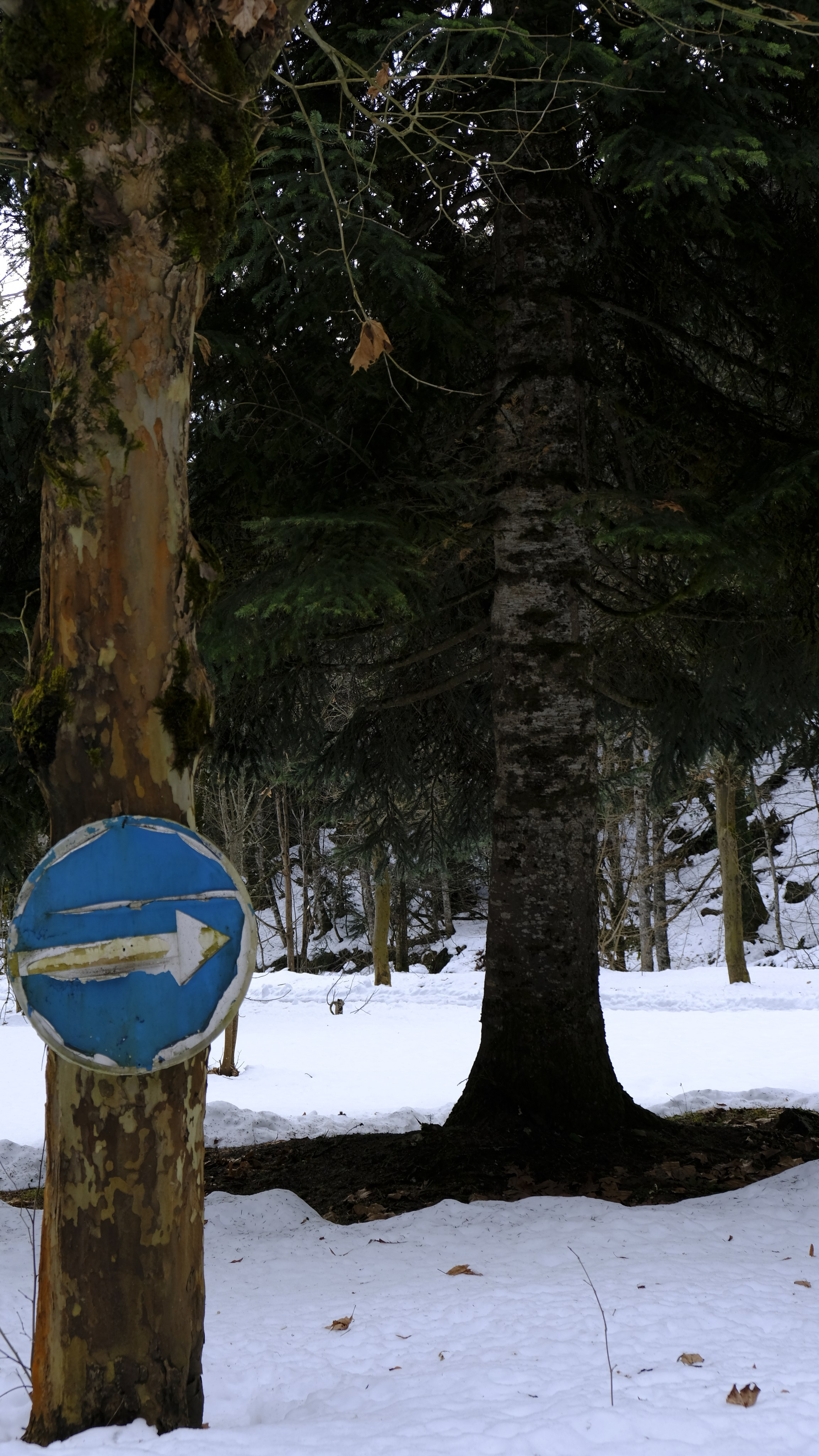 Сталинская дача на Рице зимой. Главная