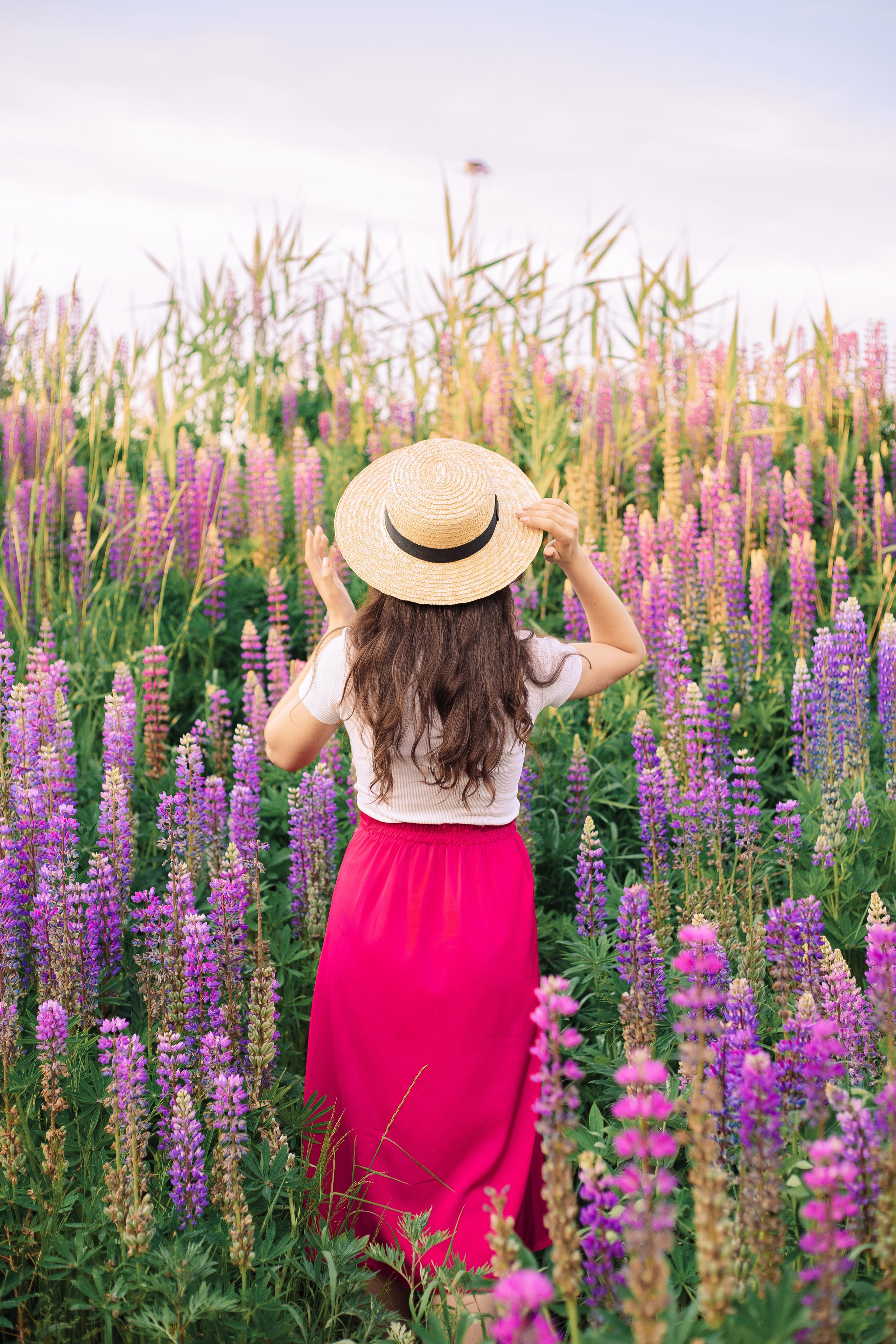 Индивидуальная фотосессия в люпинах. Фотограф в Санкт-Петербурге, Анна Скворцова
