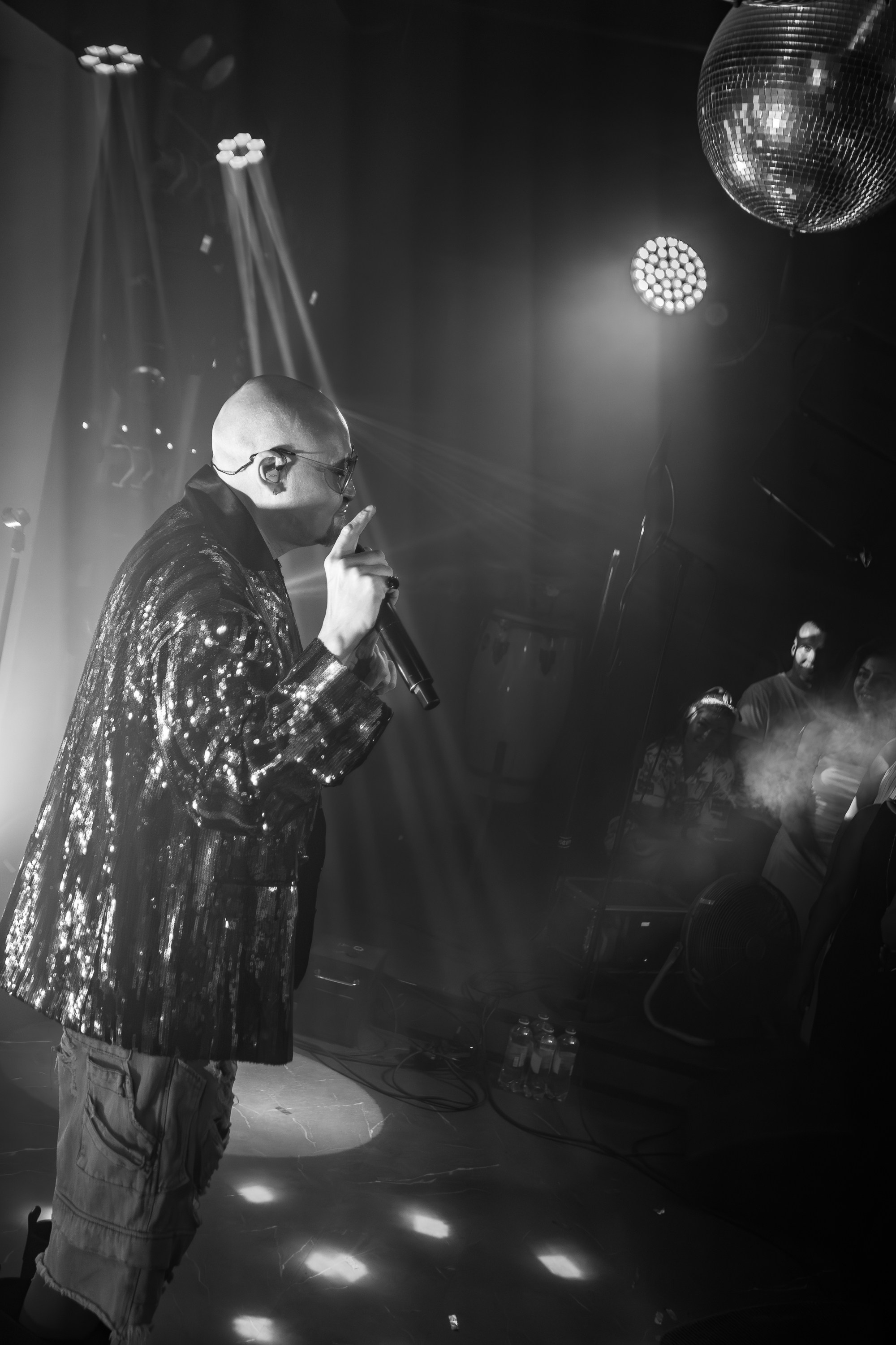 «Шура"_Чайка на пляже_Ялта_18.07.2025 г. Аминов Руслан | Фотограф