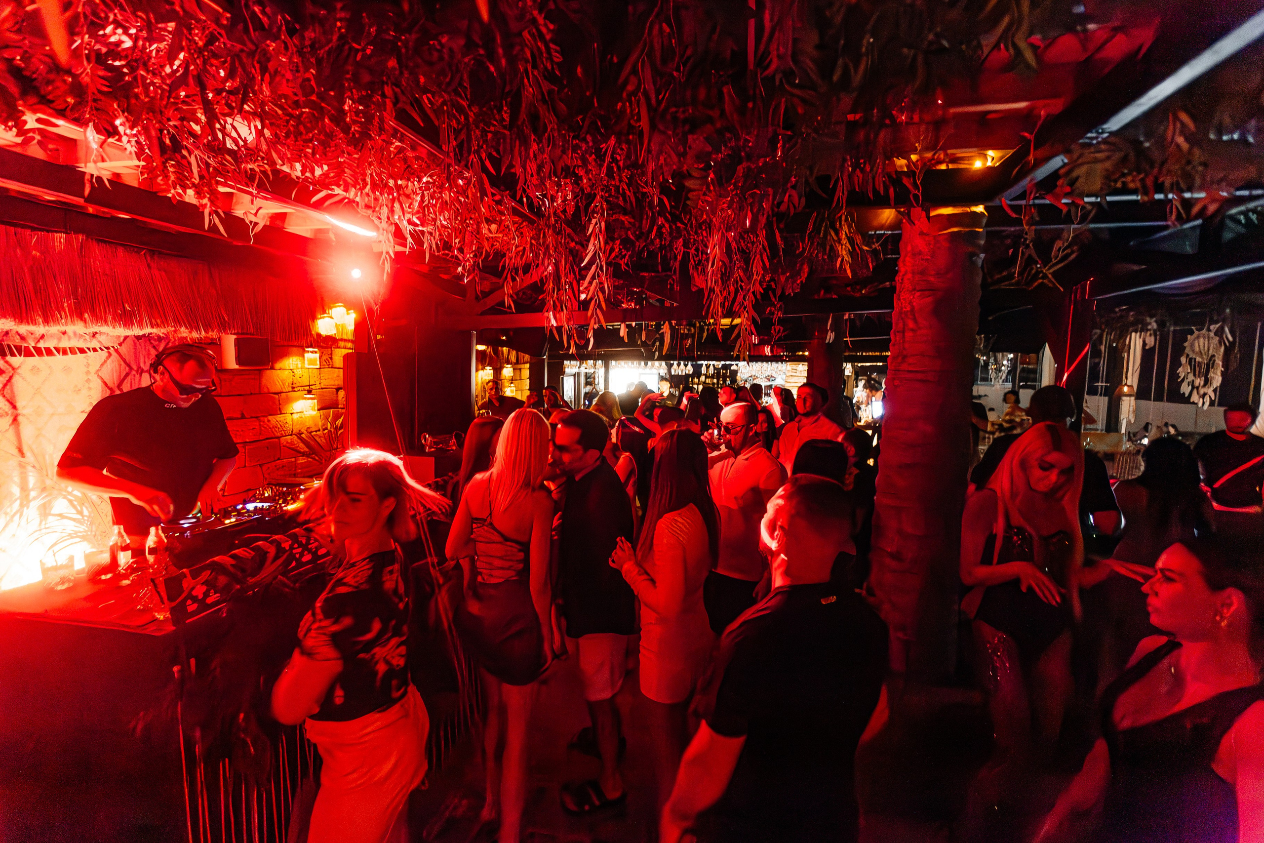 Чайка_на_пляже_Андро_Ялта_24.08.2024. Аминов Руслан | Фотограф