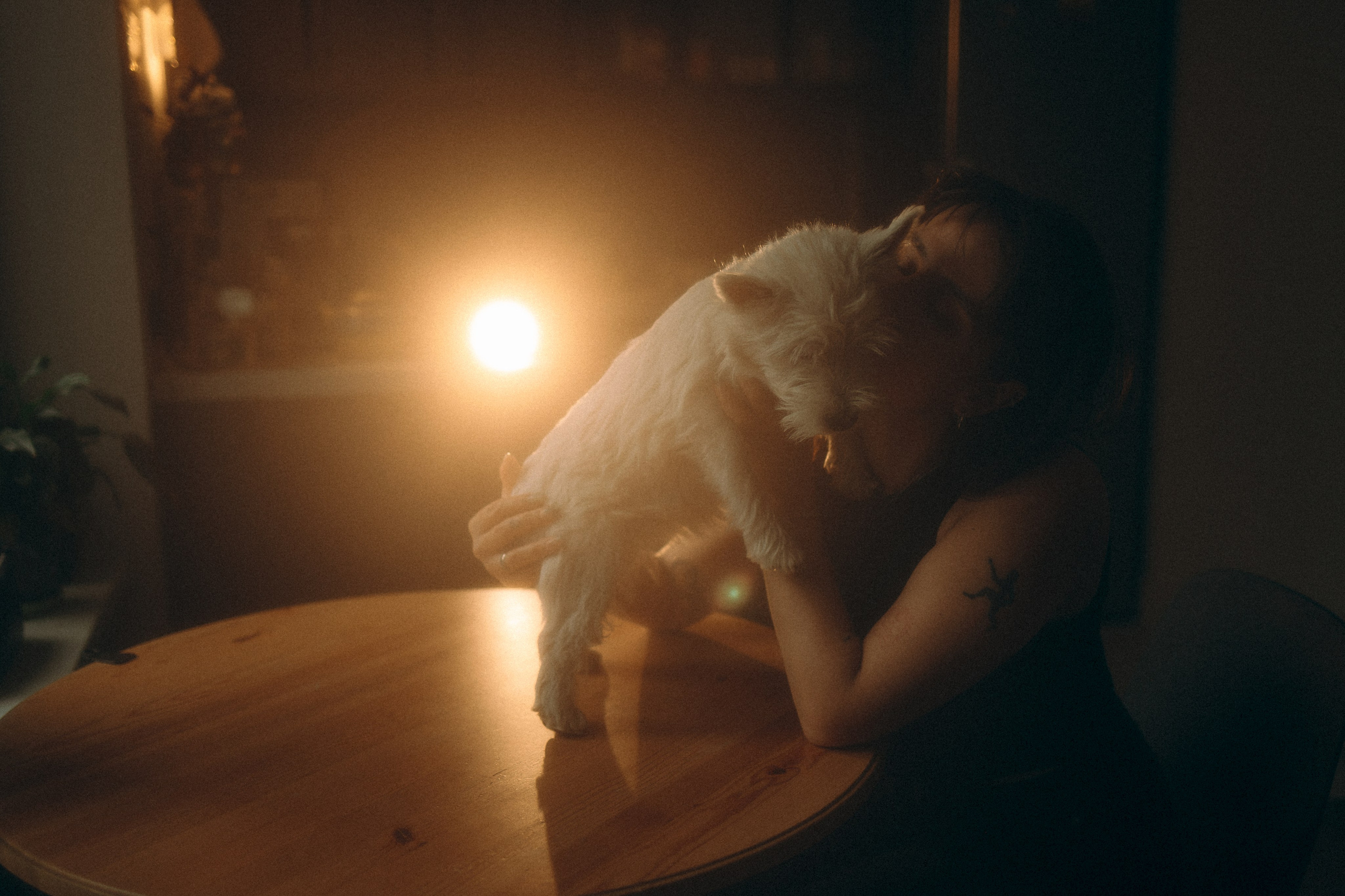 Снежуля, Мари и Саша. Фотограф анималист Анастасия Пикей