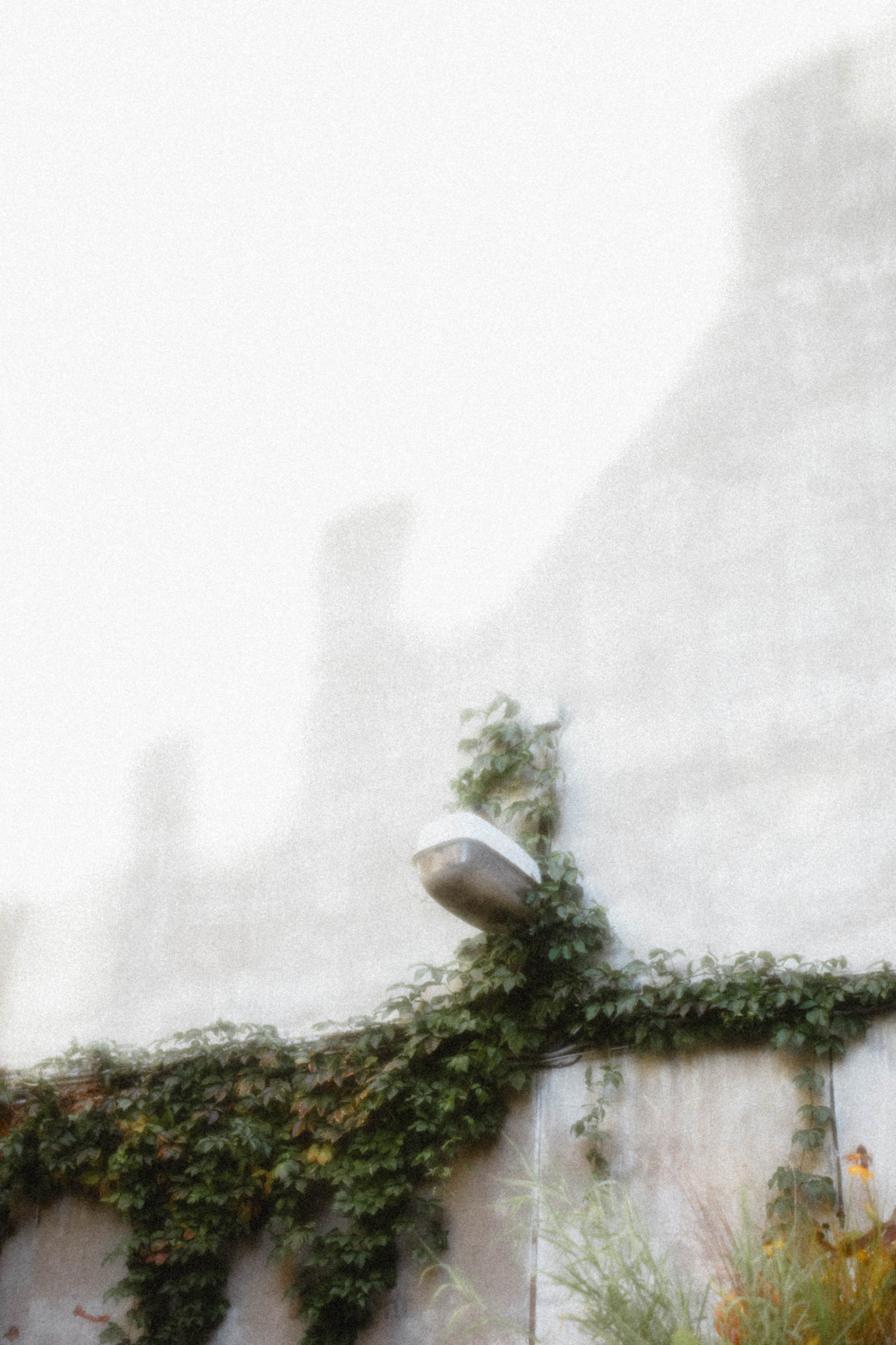 KATYA. Фотограф города Уральск Ольга Василец