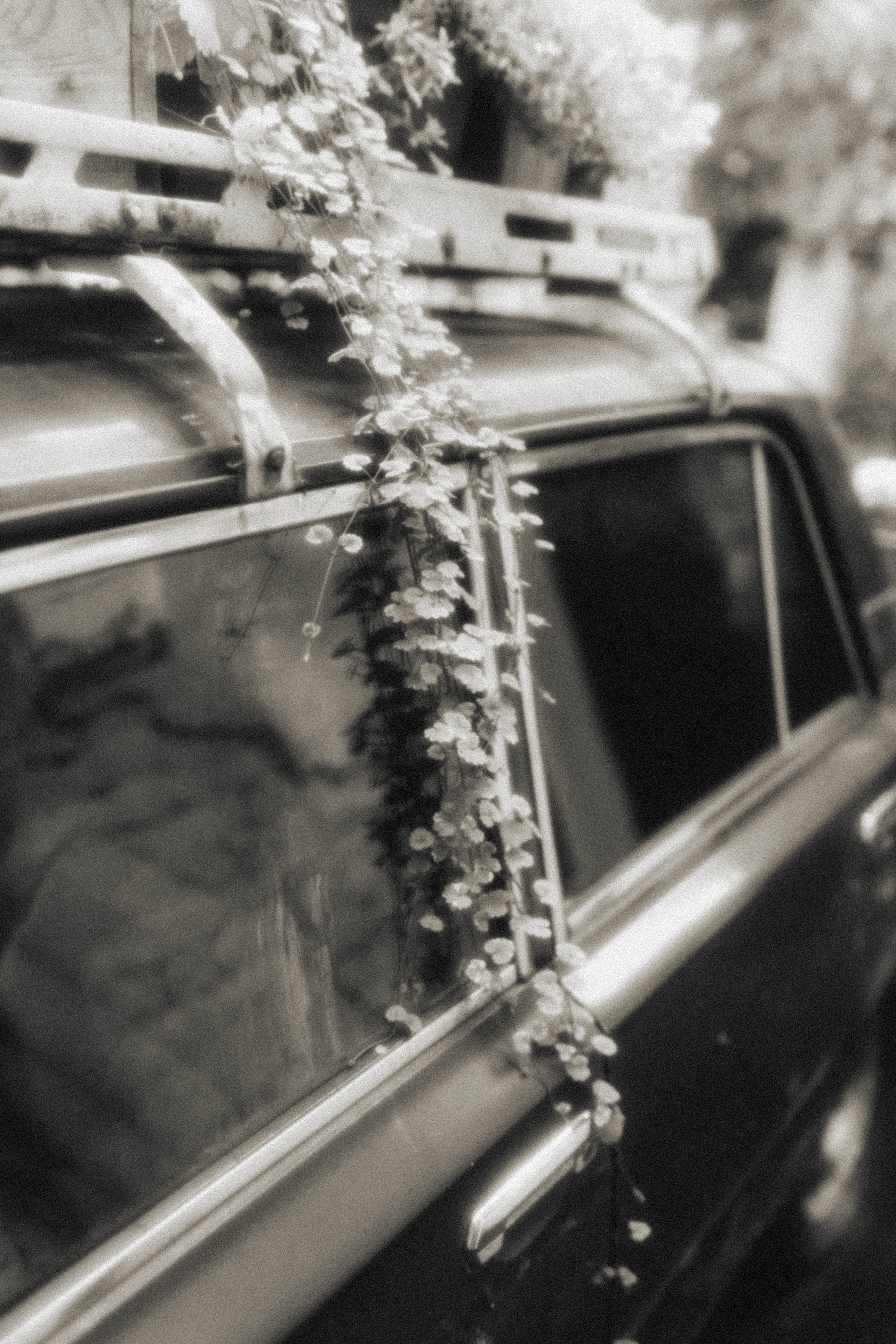 KATYA. Фотограф города Уральск Ольга Василец