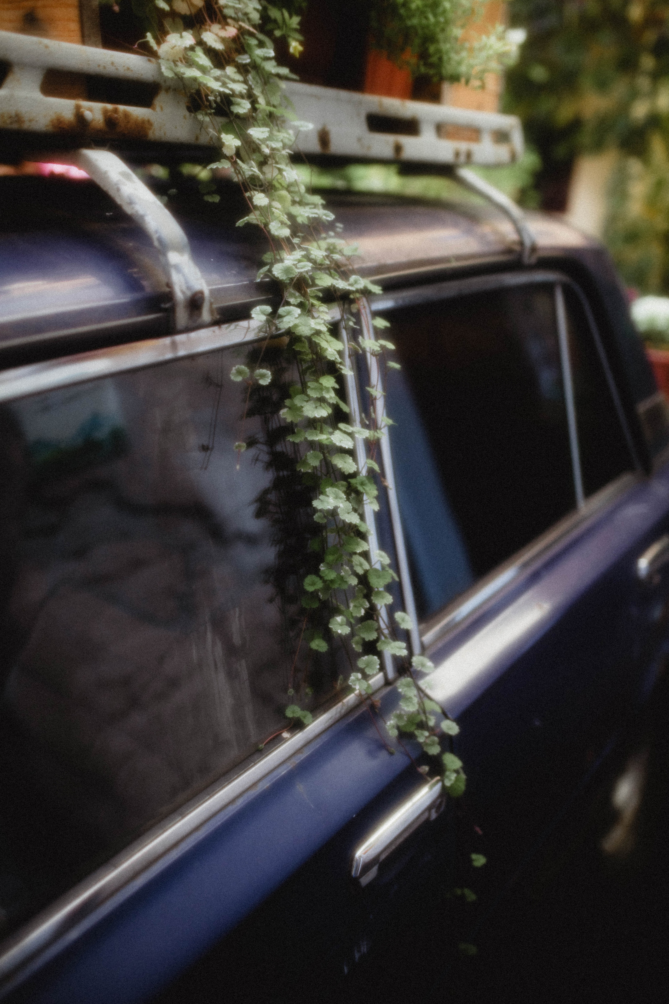 KATYA. Фотограф города Уральск Ольга Василец