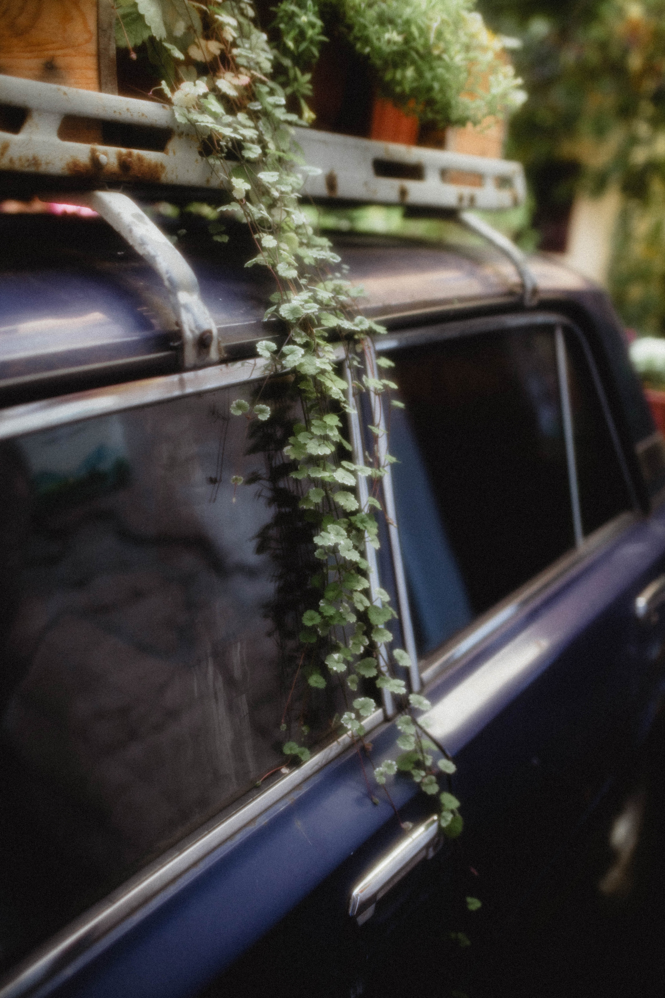 KATYA. Фотограф города Уральск Ольга Василец