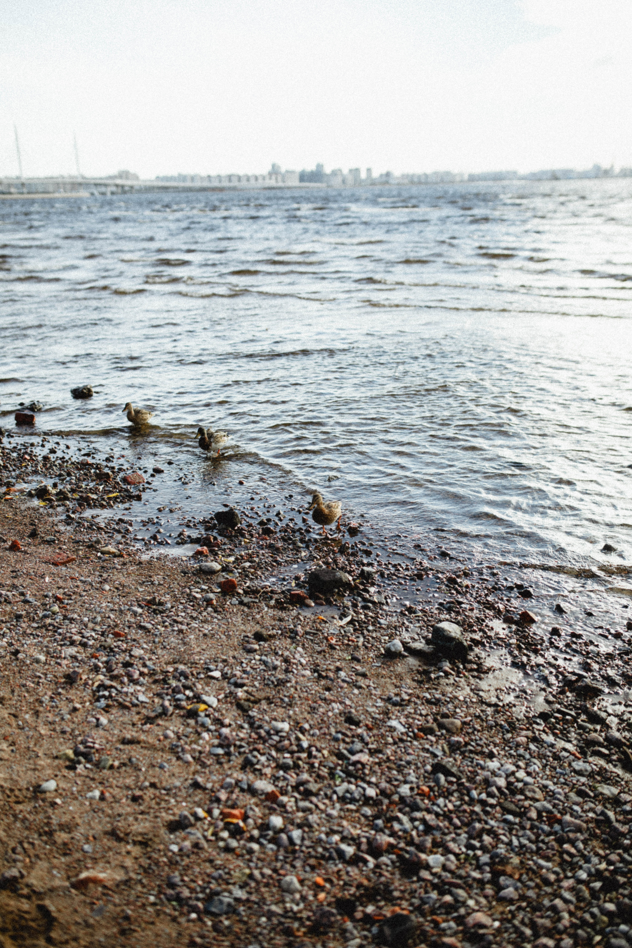 ANYA. Фотограф города Уральск Ольга Василец