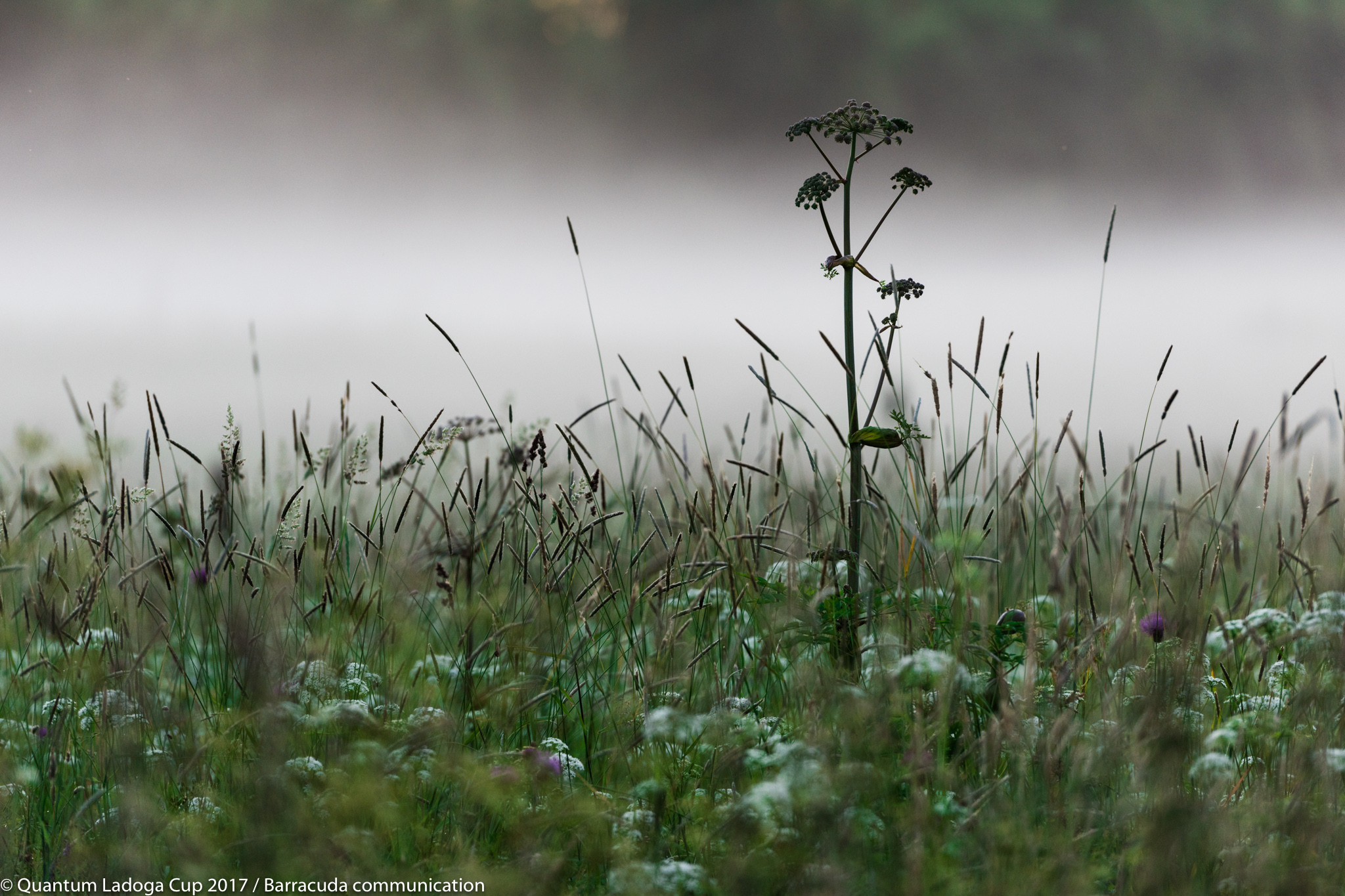 Quantum Ladoga Cup 2017. Sailing Photographer Marina Semenova