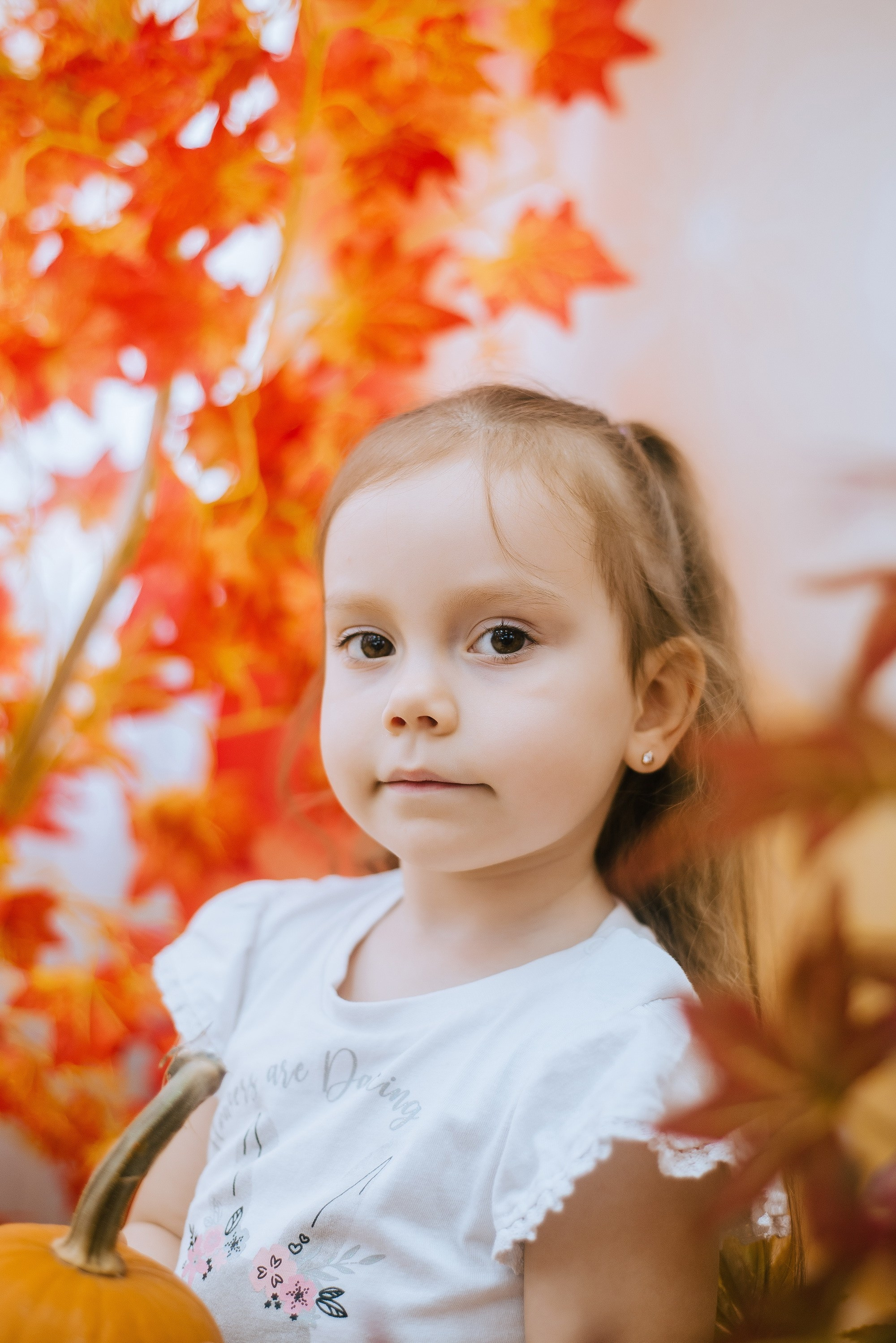 Д/с № 22. Фотограф Ярмишко Дарья. Выпускные фотокниги