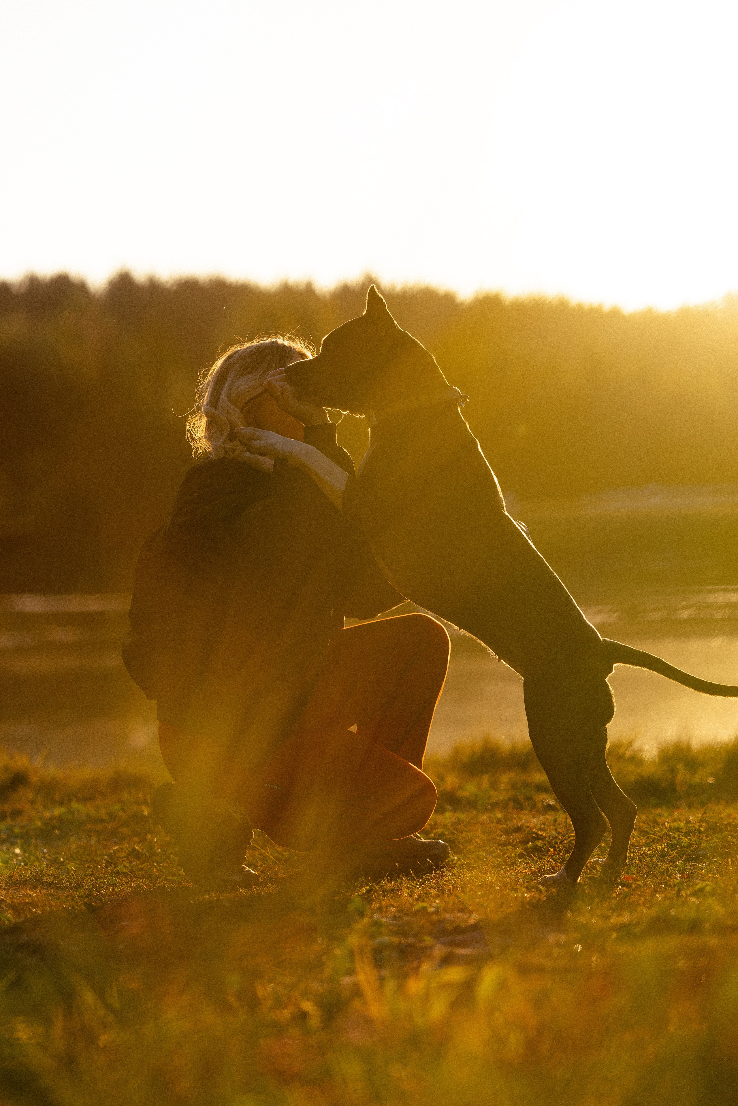 Катя, Леша, Лея и Трой. Фотограф и видеограф анималист Аганина Дарья