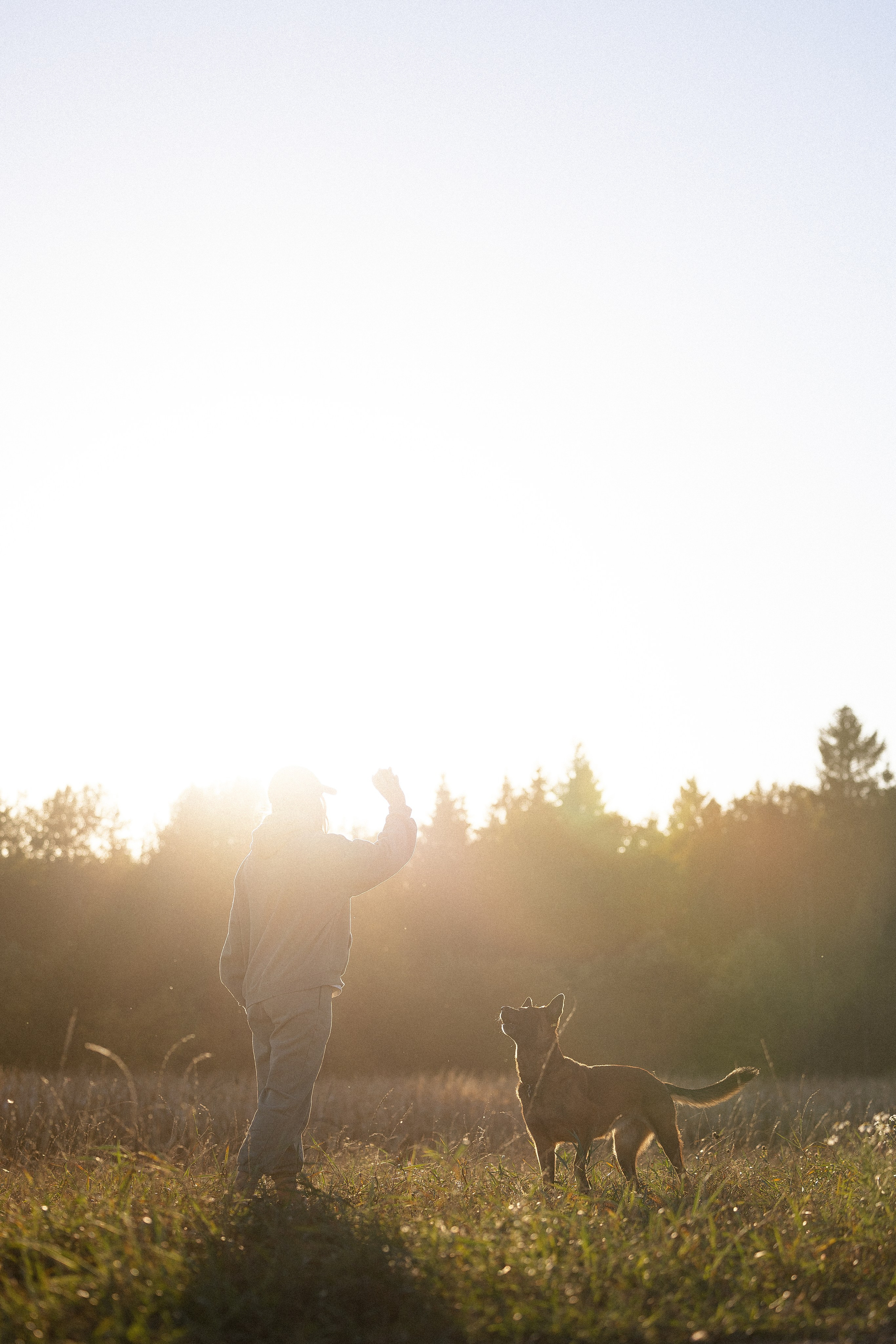 Женя, Афра и Молли. Фотограф и видеограф анималист Аганина Дарья