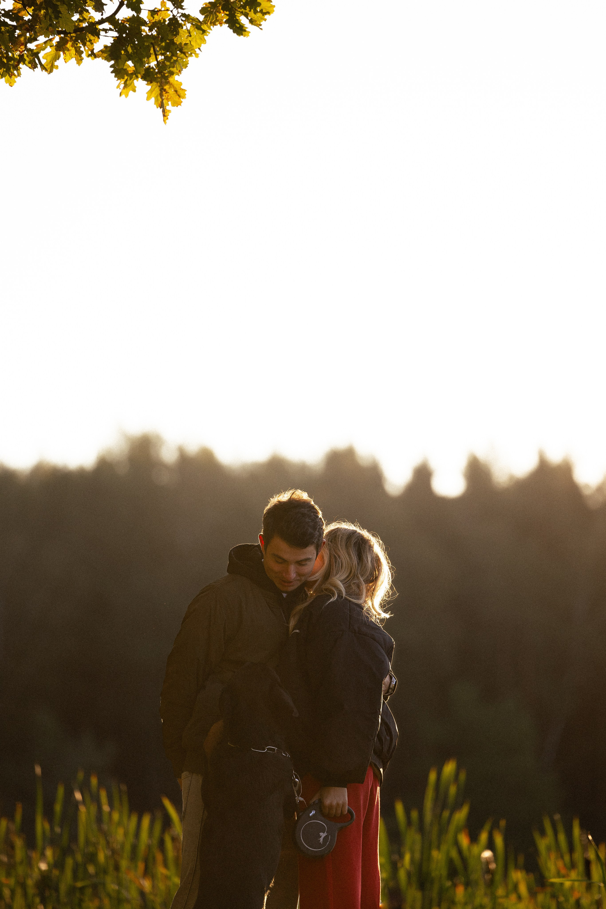 Катя, Леша, Лея и Трой. Фотограф и видеограф анималист Аганина Дарья