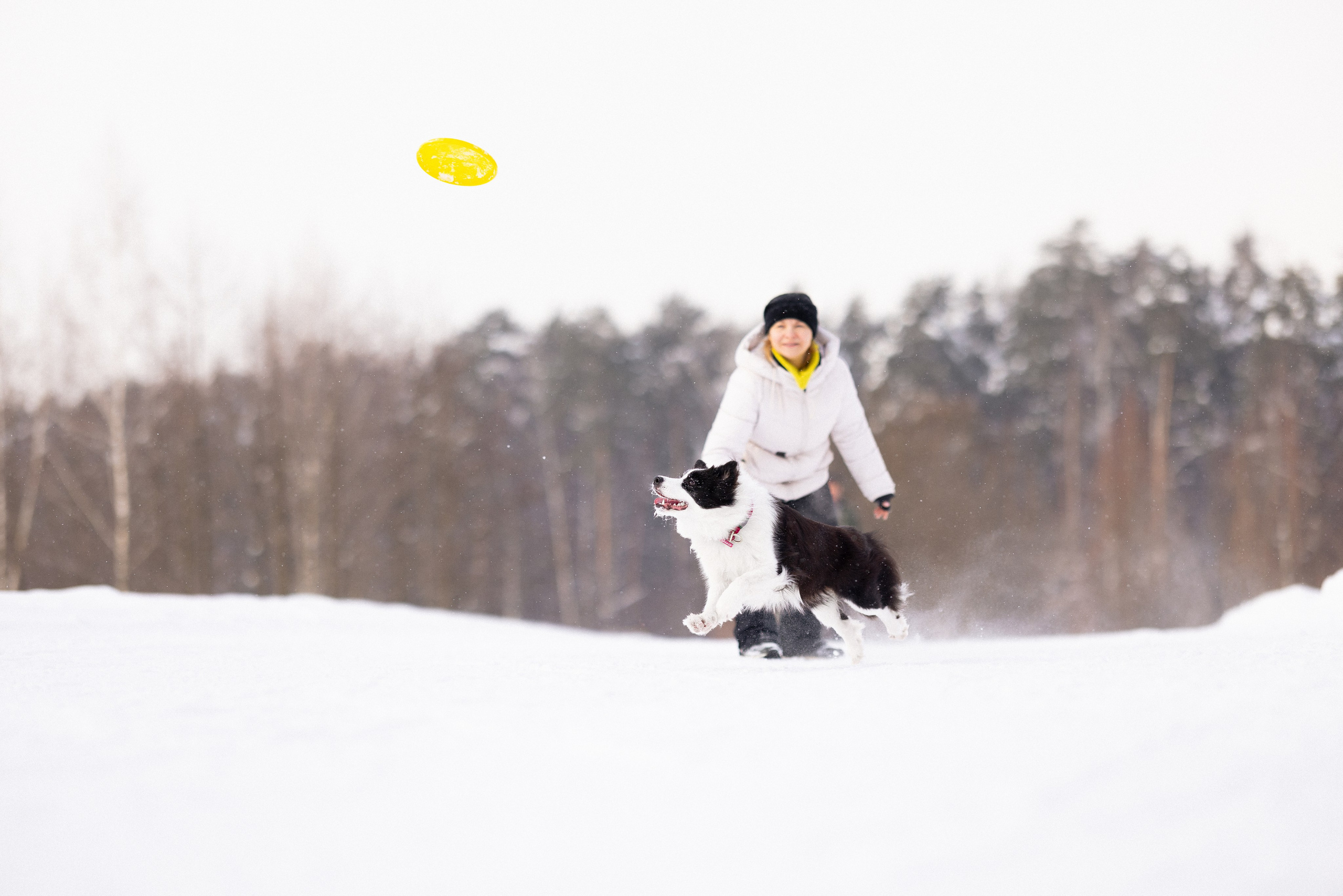 Лилия, Алексей и Ариана. Фотограф и видеограф анималист Аганина Дарья