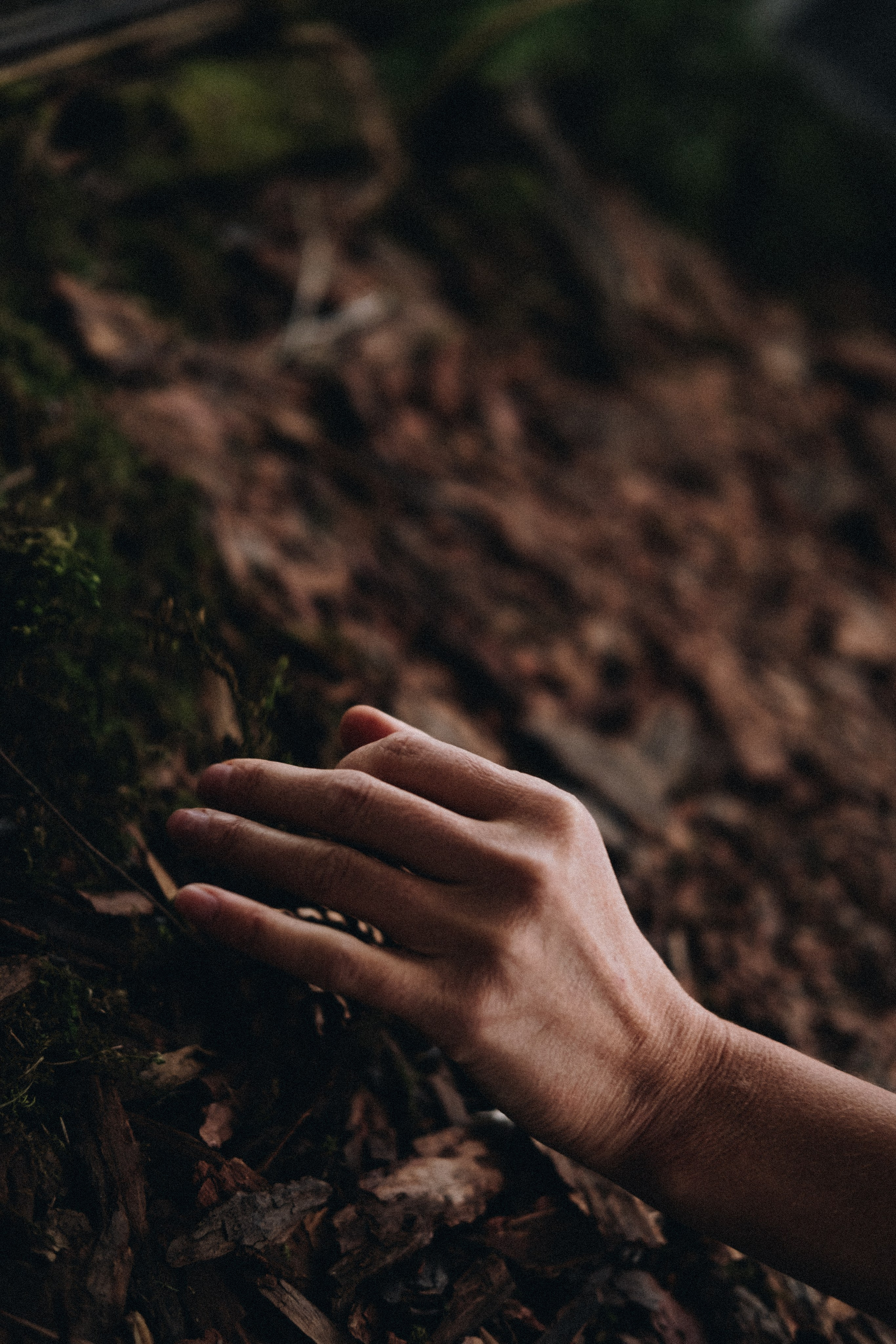 ОКСАНА. КРИСТИНА ГУСЬКОВА