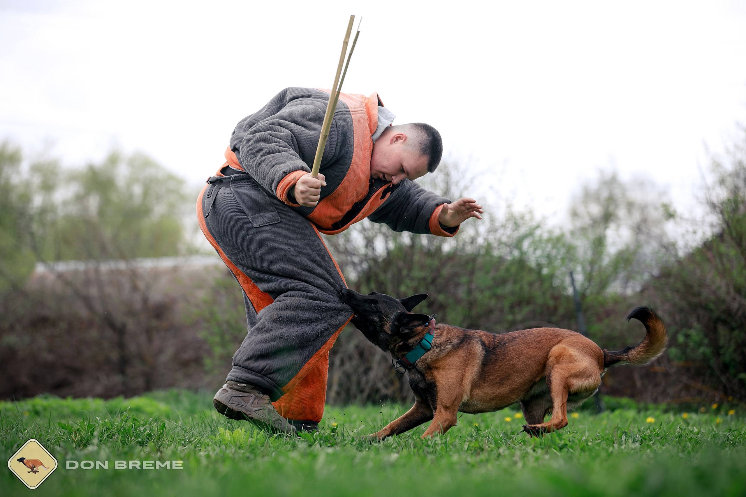 Семинар для фигурантов, день 2. Фотограф-анималист Mary Mart — Москва, Питер