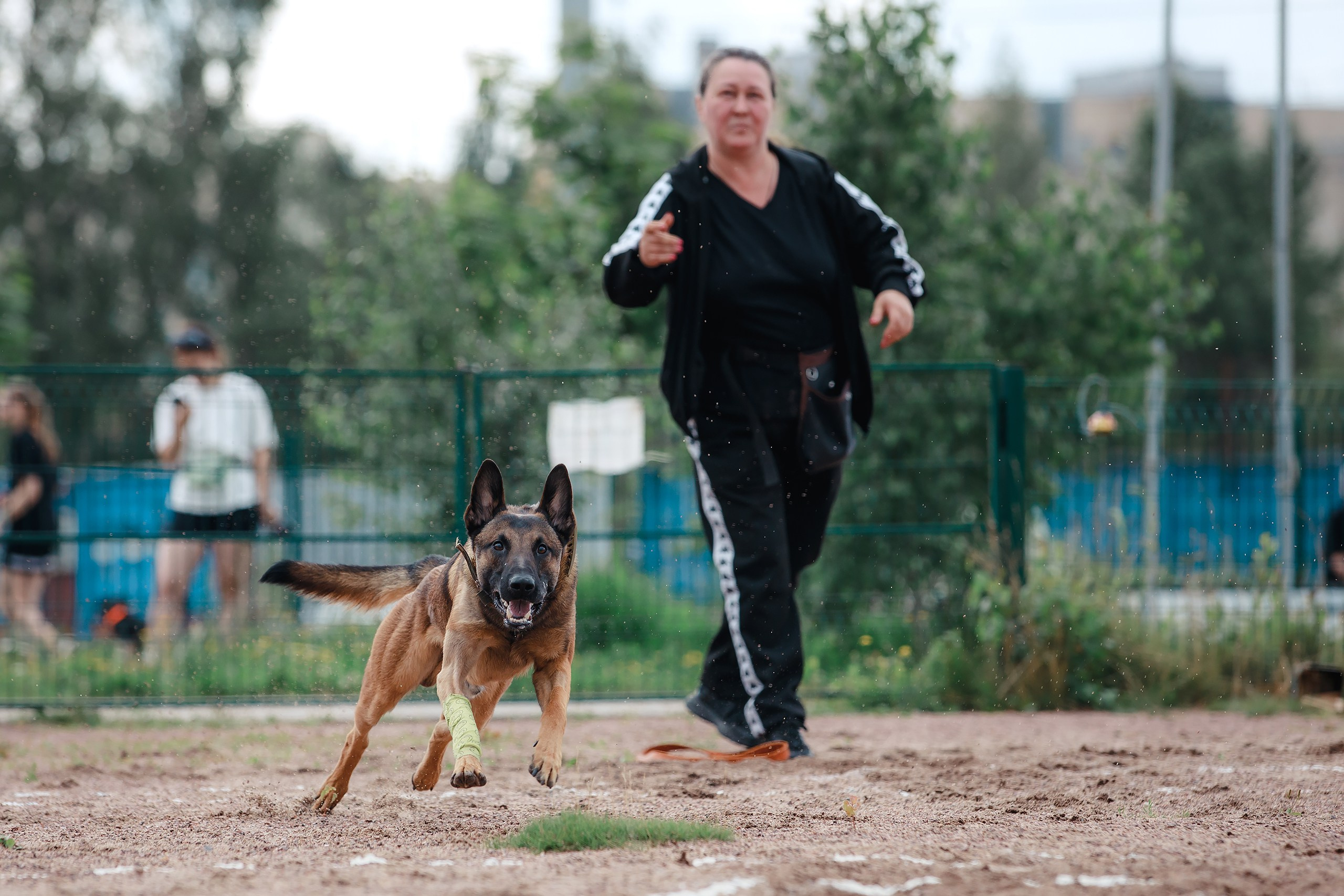 Питч&Гоу + веселые старты. Фотограф-анималист Mary Mart — Москва, Питер